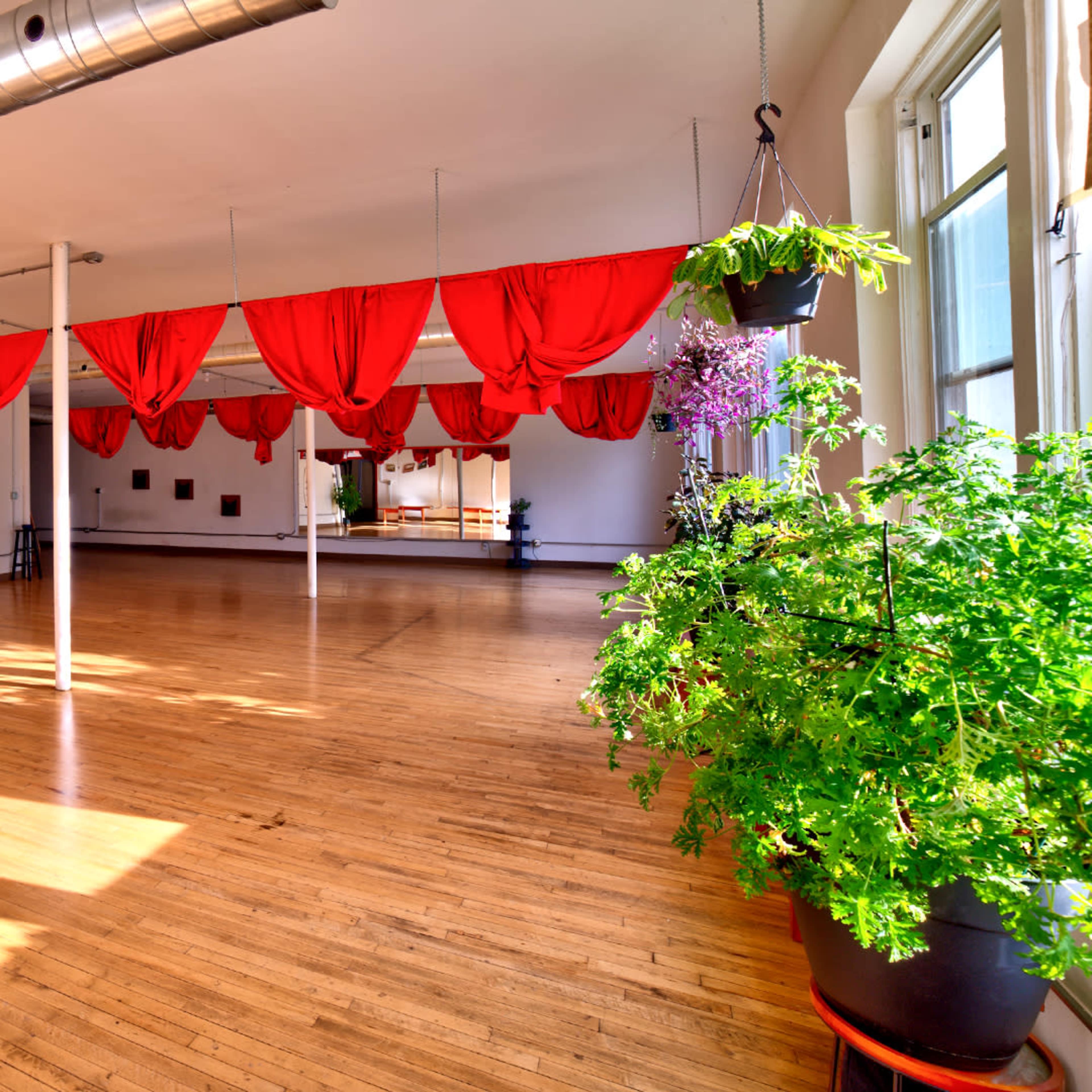 A spacious dance studio with wooden floors, red drapes hanging from the ceiling, and several potted plants along the edges.