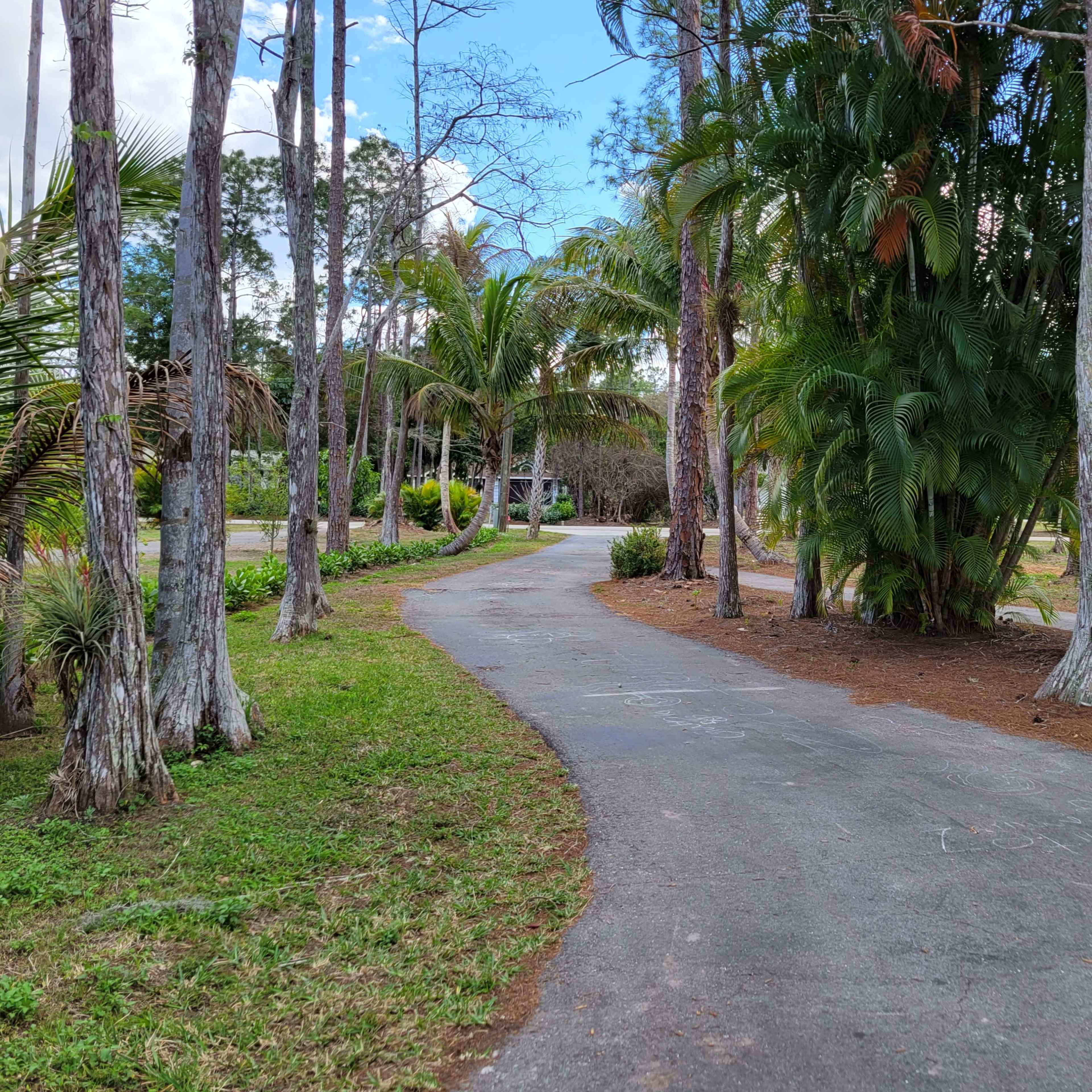 A winding pathway bordered by trees and greenery in a park setting.