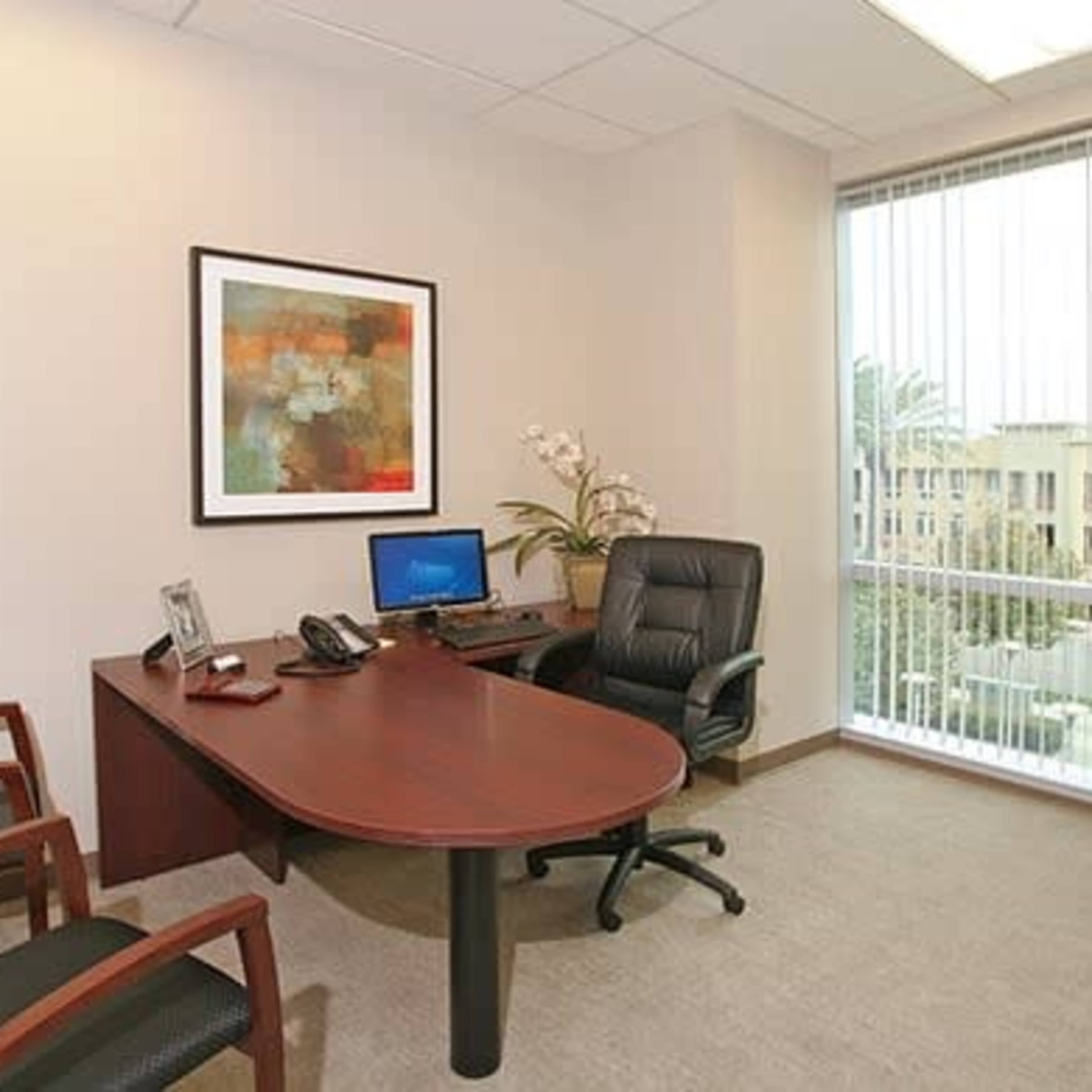 Large Boardroom accommodates 10 people Image in Aliso Viejo, Aliso Viejo, CA