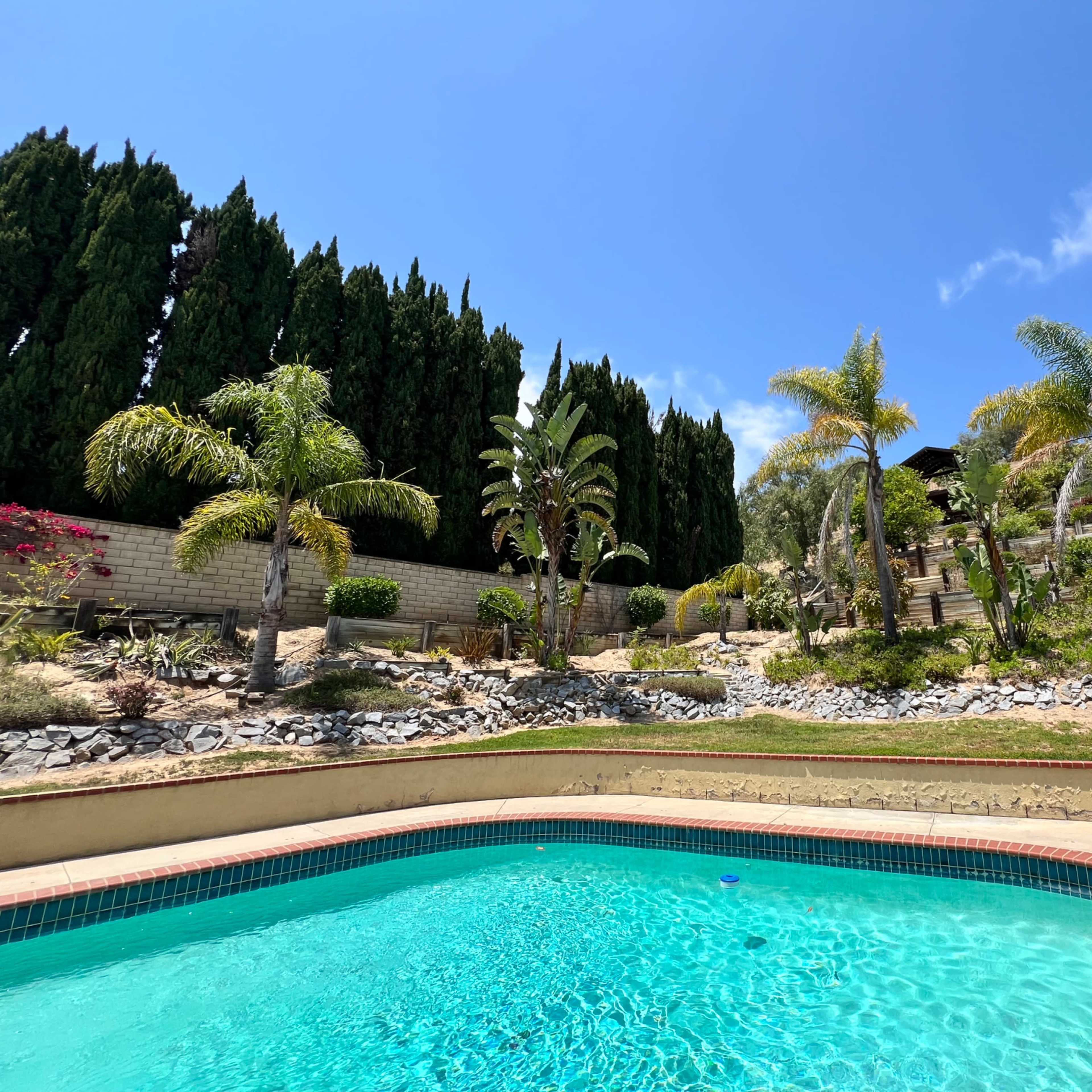 Lush Tranquil Yard With Pool and Views Image in Camarillo, Camarillo, CA
