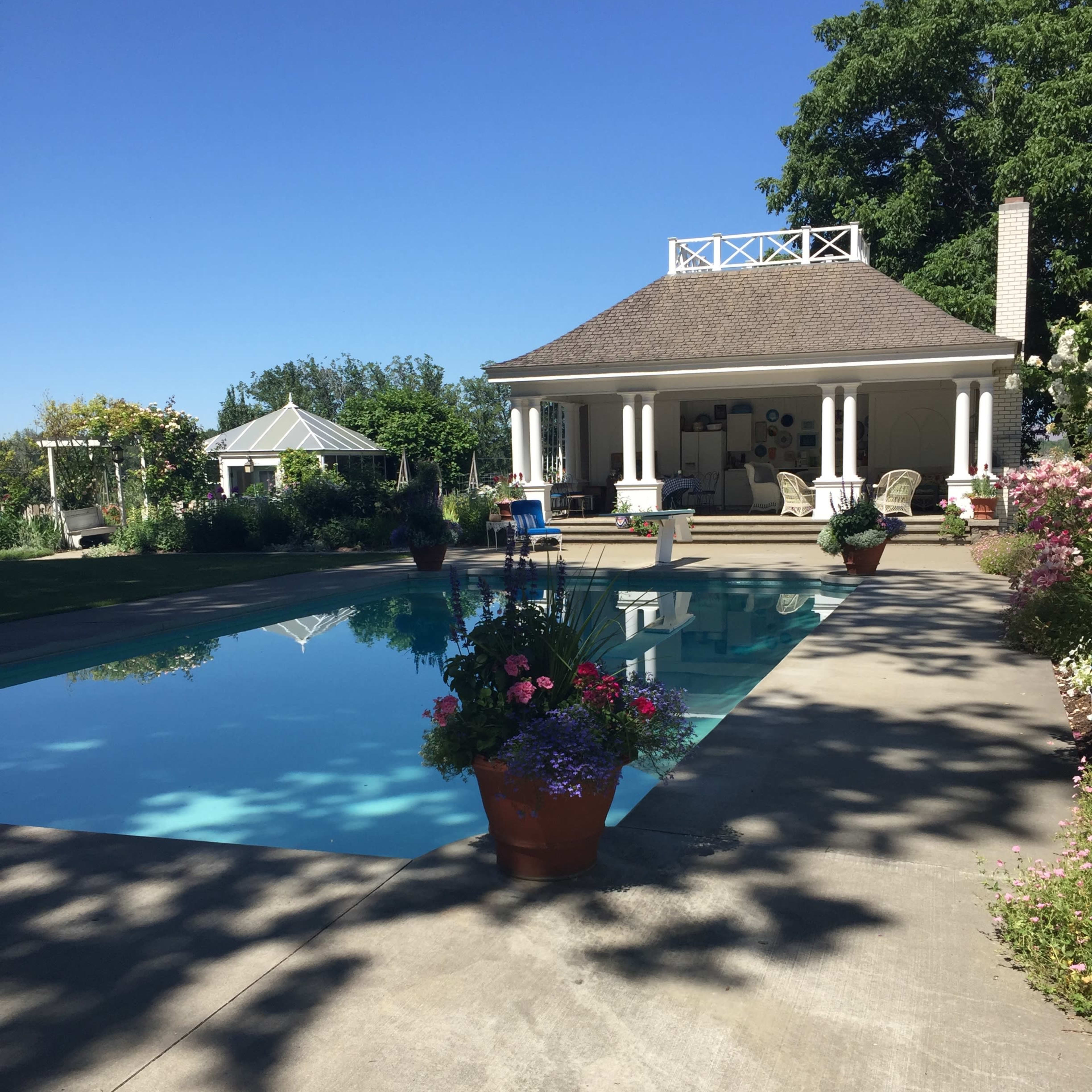 A swimming pool surrounded by a patio, adorned with potted plants, and a gazebo in the background.
