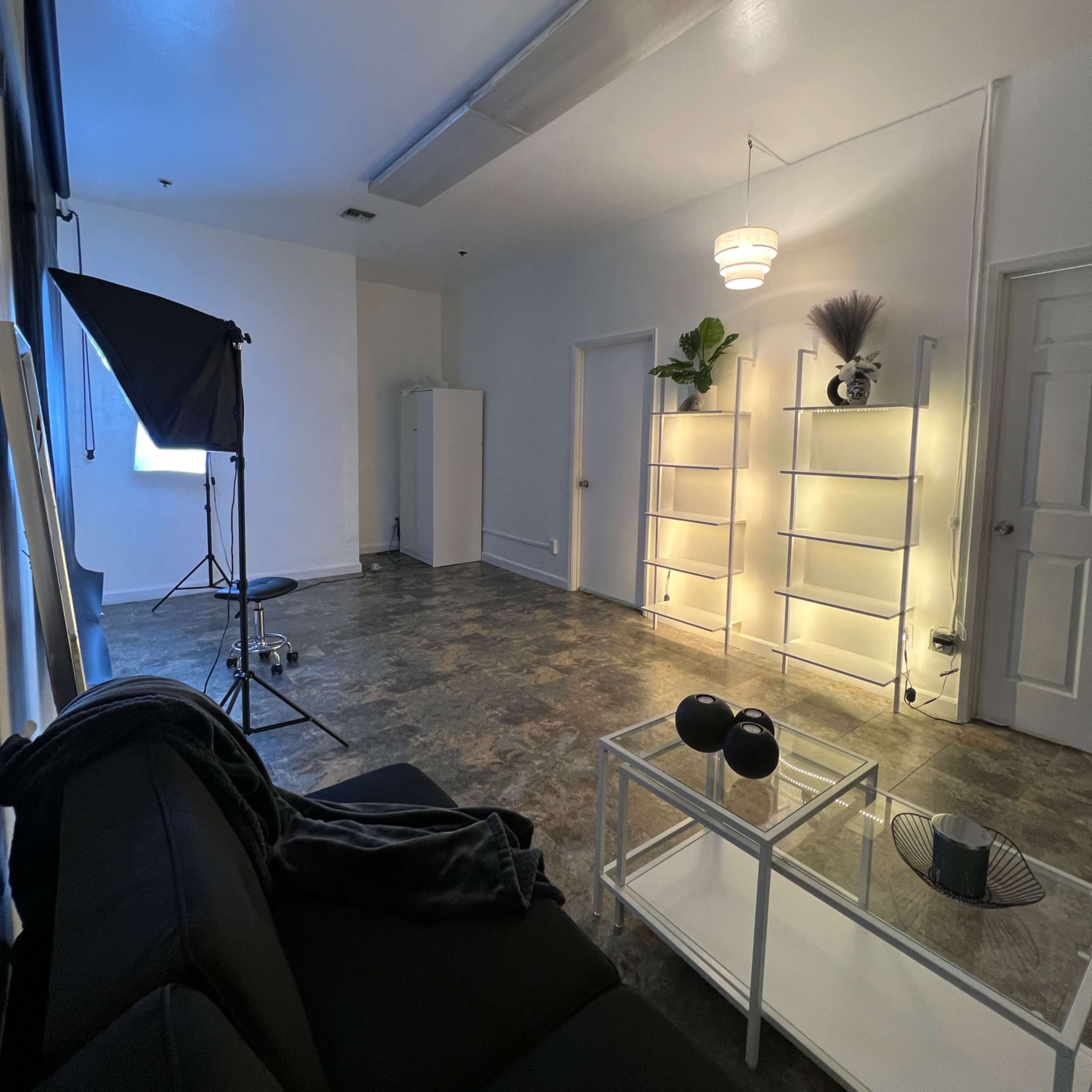 A minimalistic, well-lit room featuring a black sofa, a white shelving unit with plants, and a photography light setup.