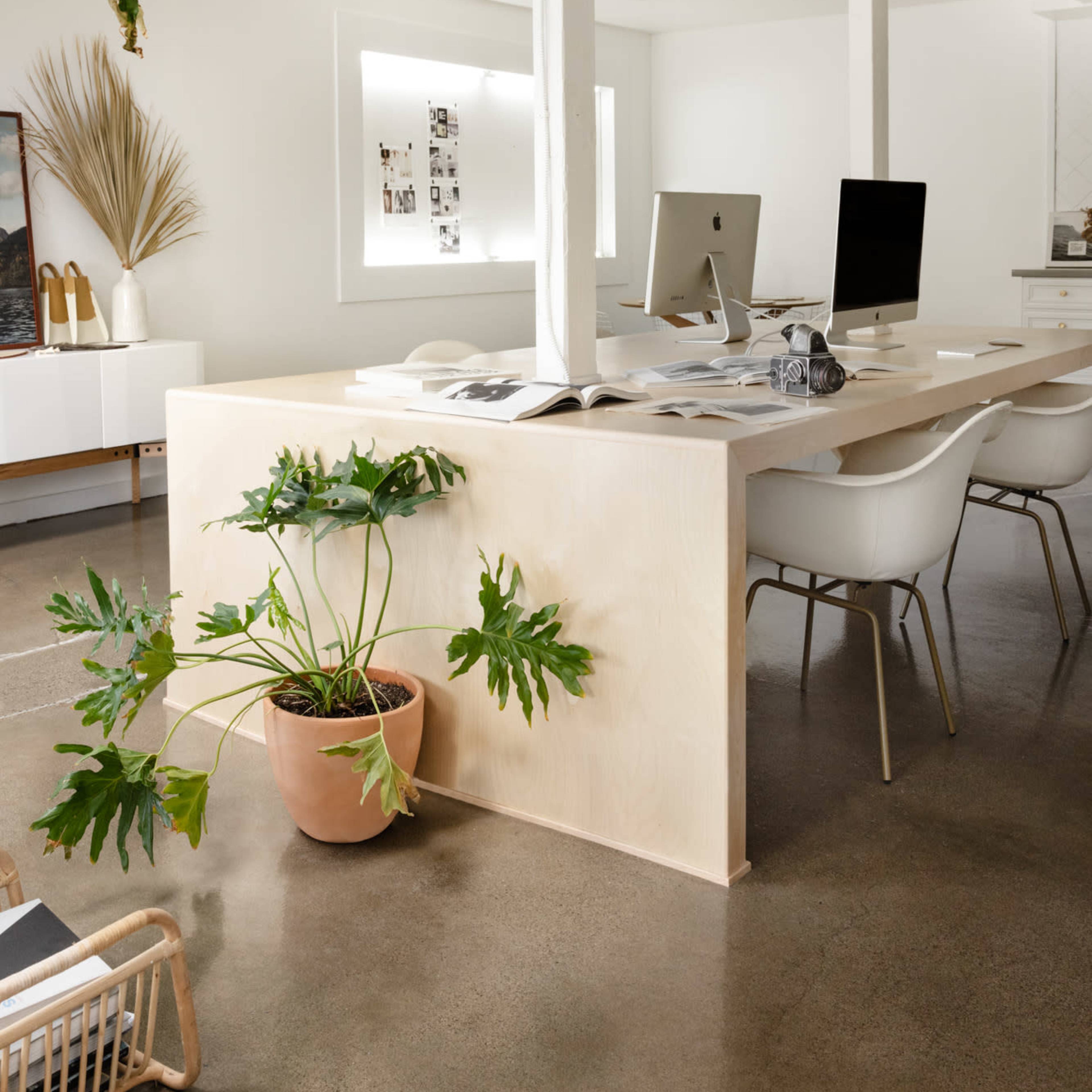 A modern office space features a large wooden table, two computers, and a potted plant, with minimalistic decor and polished concrete flooring.