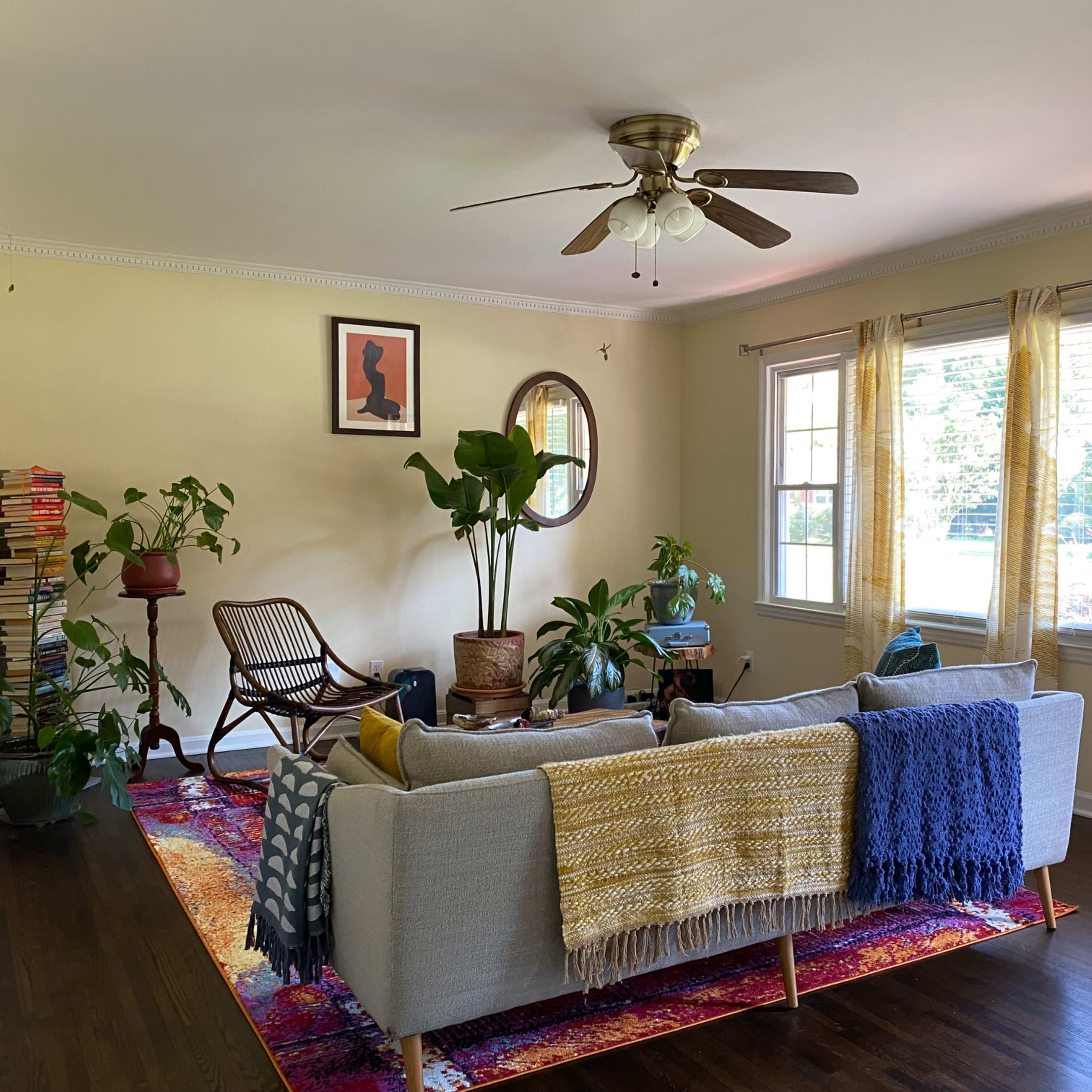 A living room features a gray sofa with colorful throws, a large area rug, houseplants, and a stack of books beside a chair near a window.