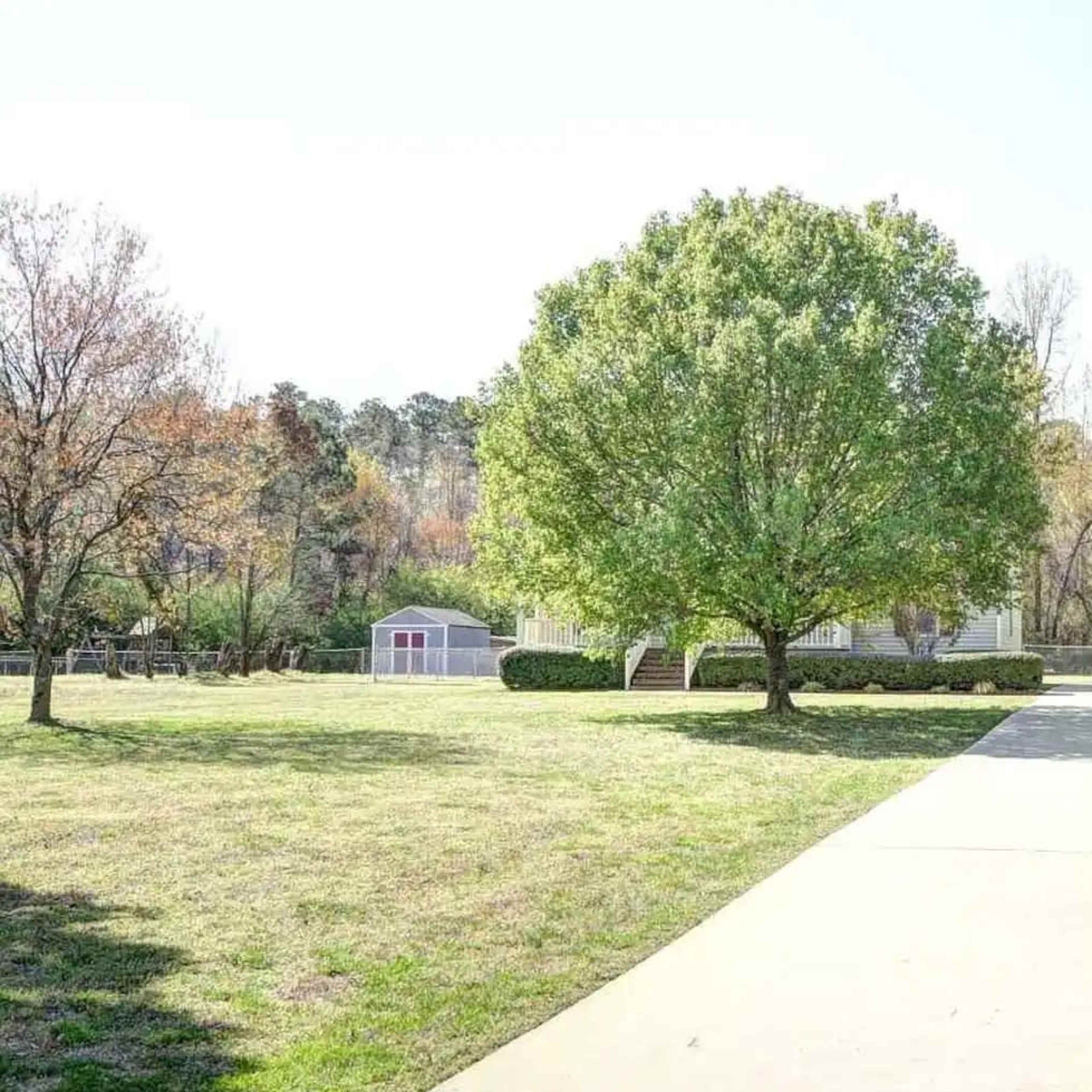 A concrete walkway leads towards a large tree and a building surrounded by a grassy area.