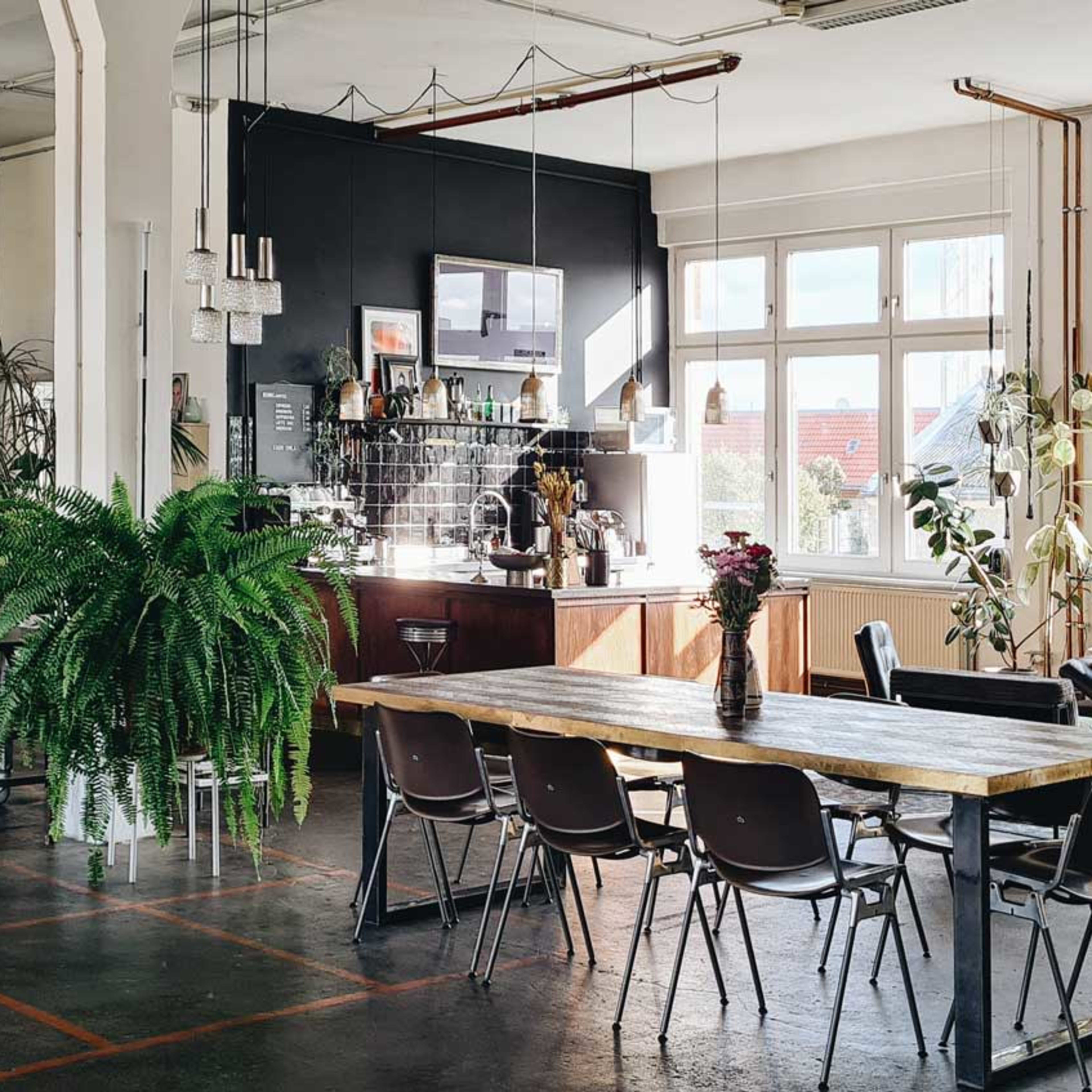 A spacious, modern café with large windows, a wooden table, metal chairs, and various plants decoratively arranged throughout the space.