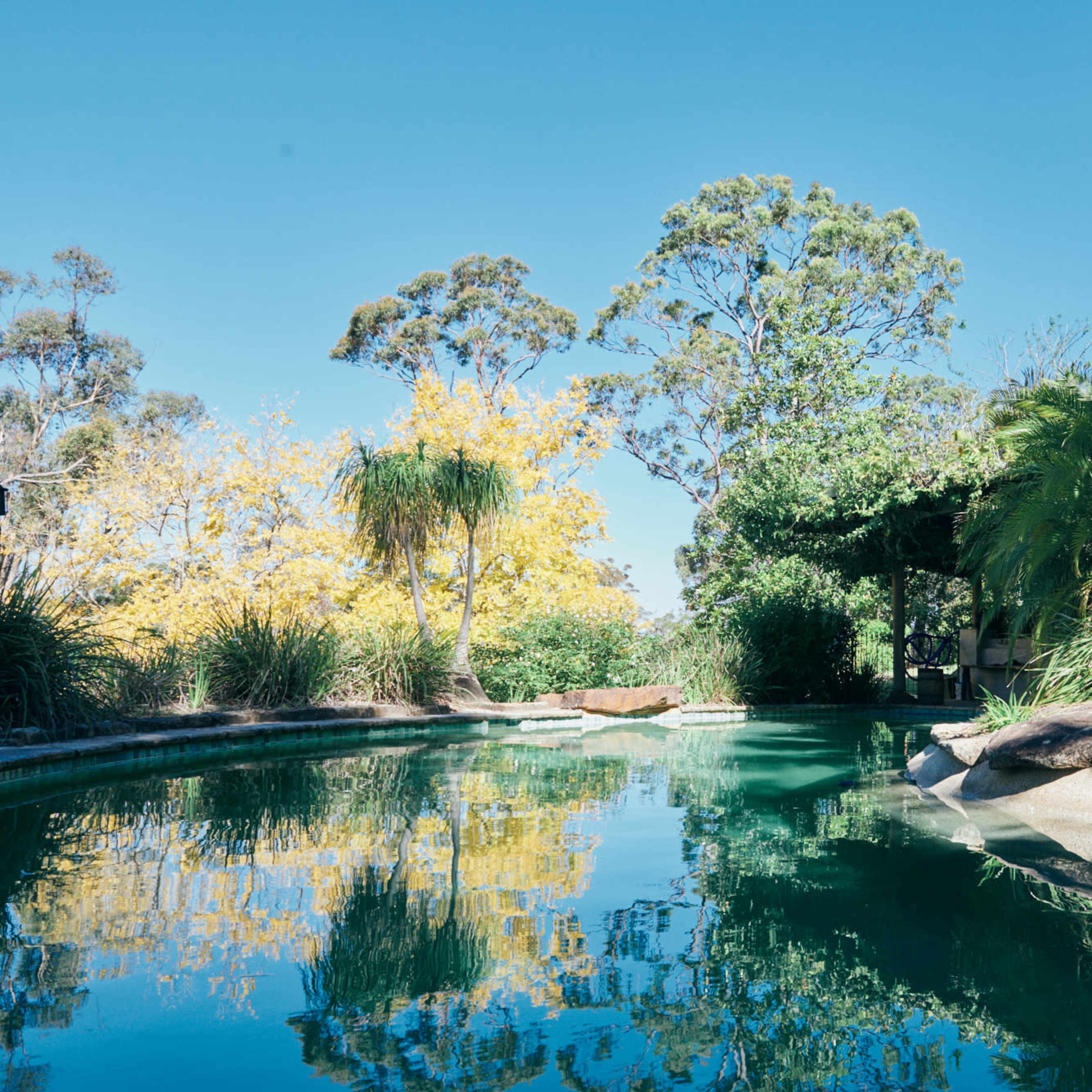 A tranquil swimming pool surrounded by lush greenery and trees under a clear blue sky.