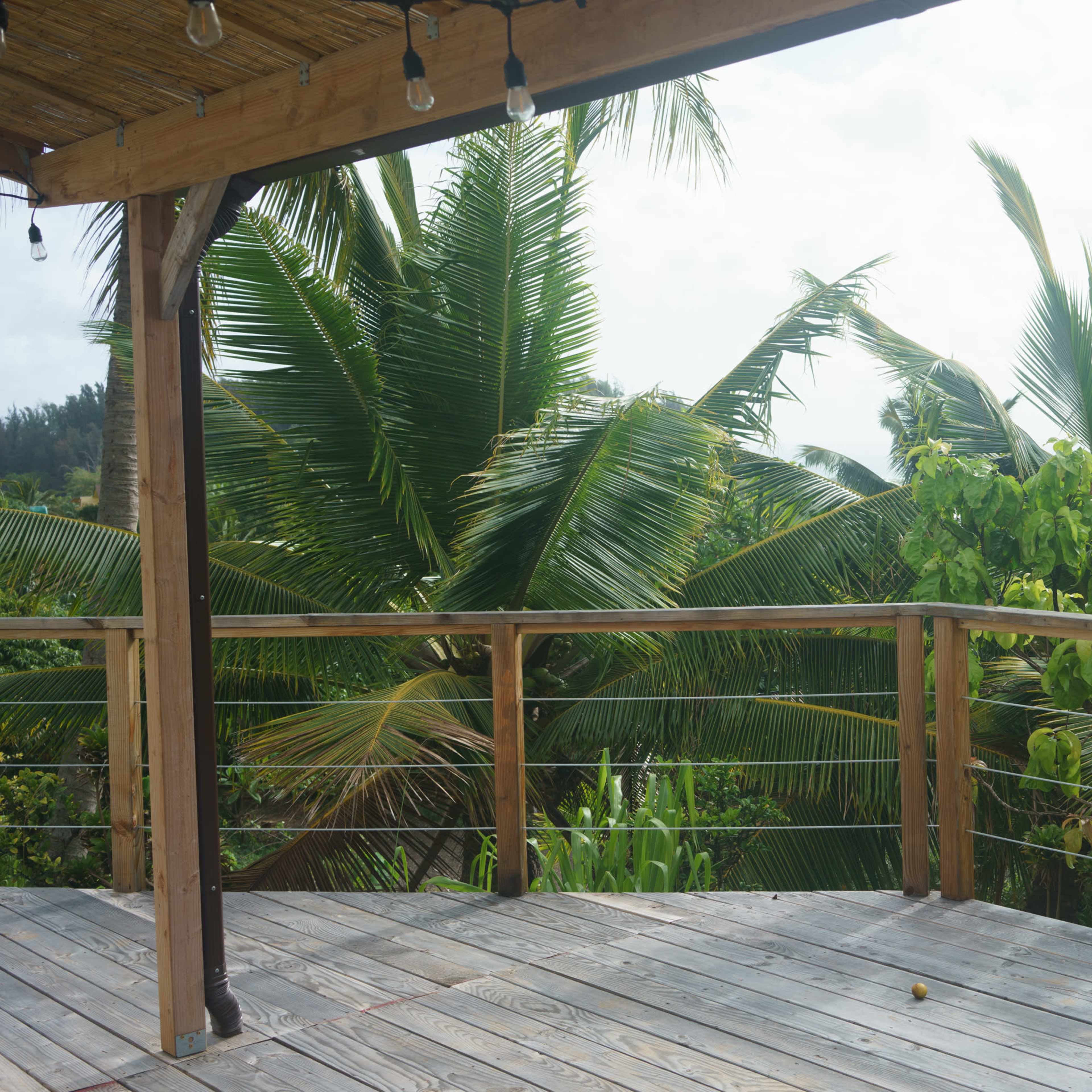 A wooden deck with a railing offers a view of lush green palm trees and tropical foliage.