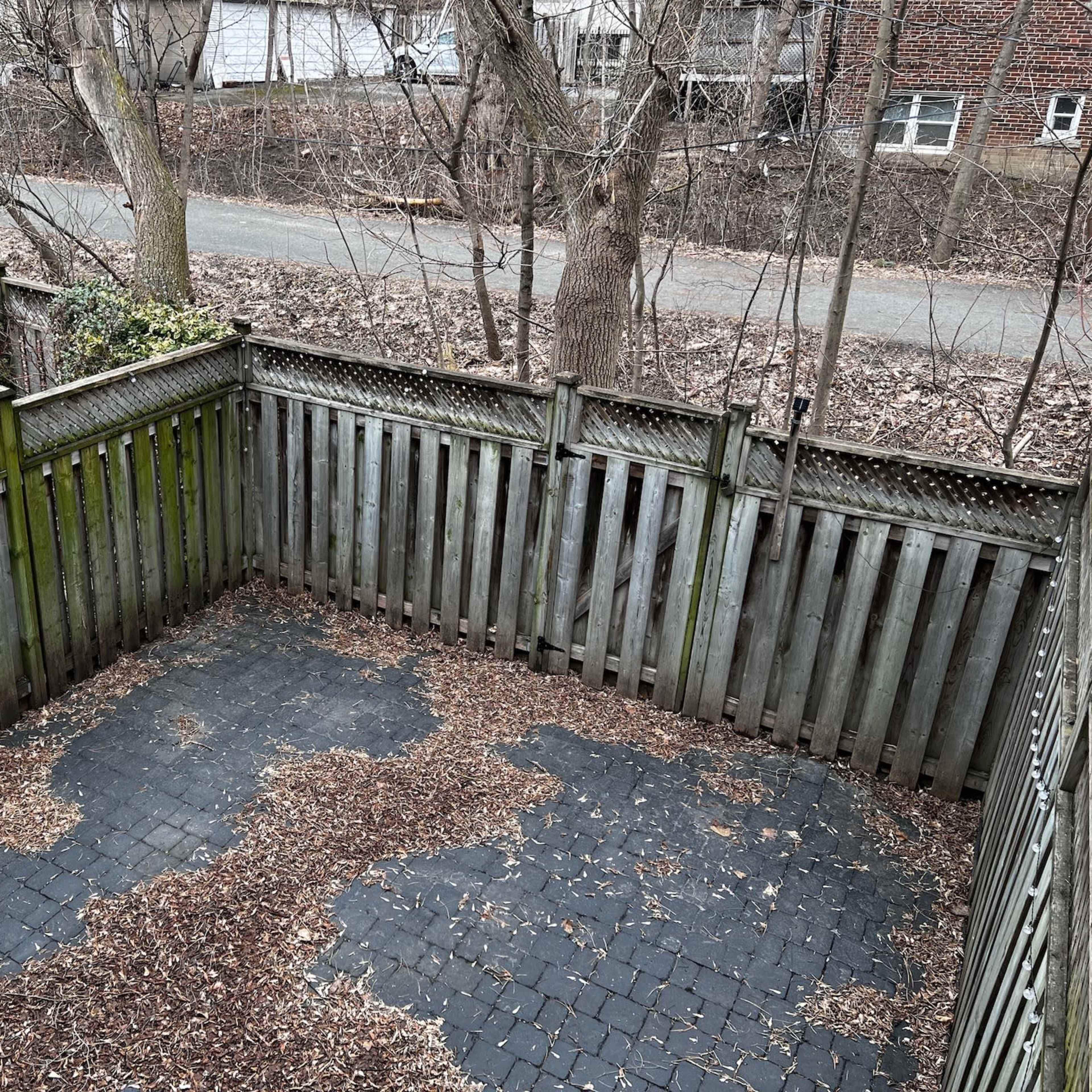 A fenced, mostly empty backyard with a stone pathway covered in fallen leaves and surrounding trees.