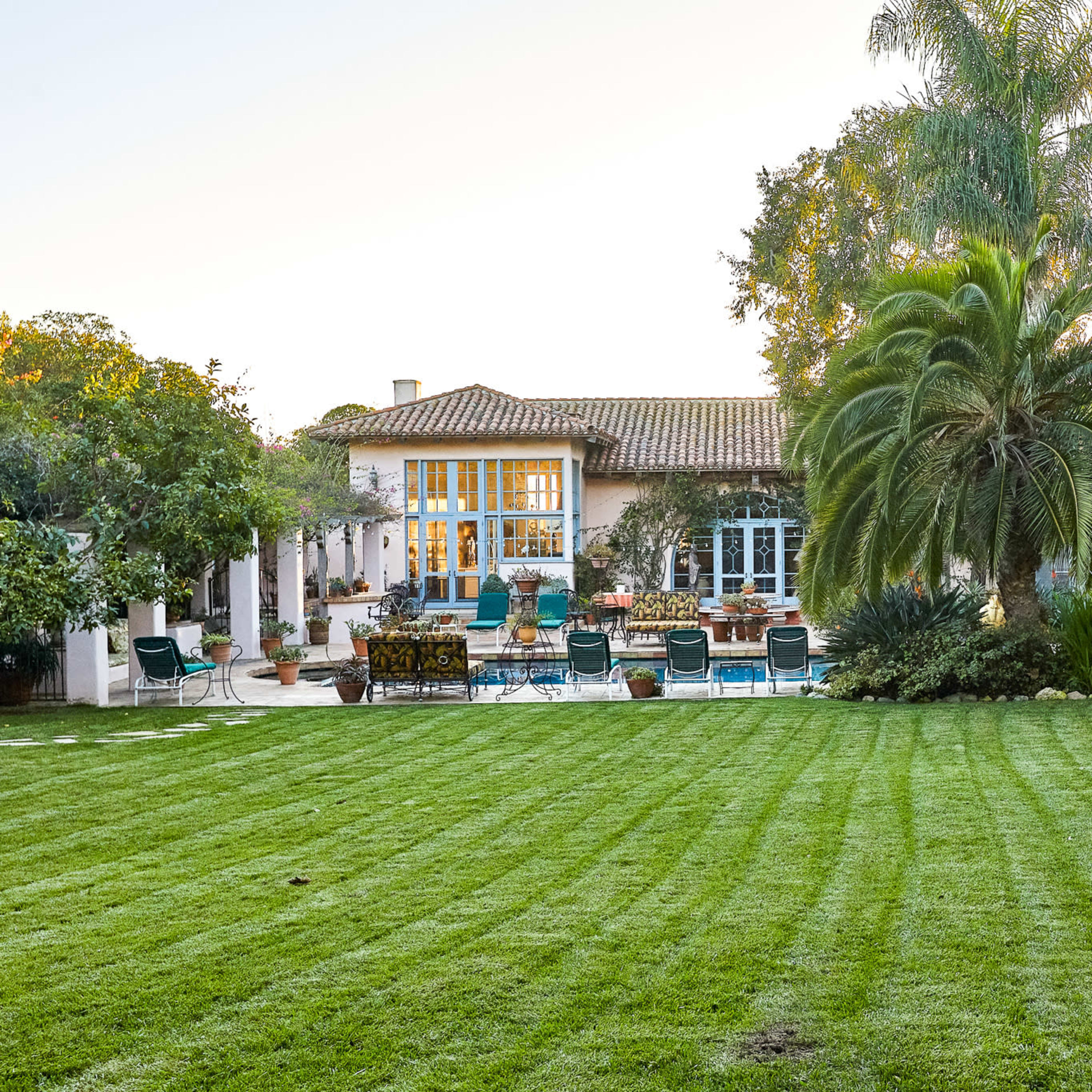 A well-maintained lawn with a view of a house featuring large windows, surrounded by various plants and trees.