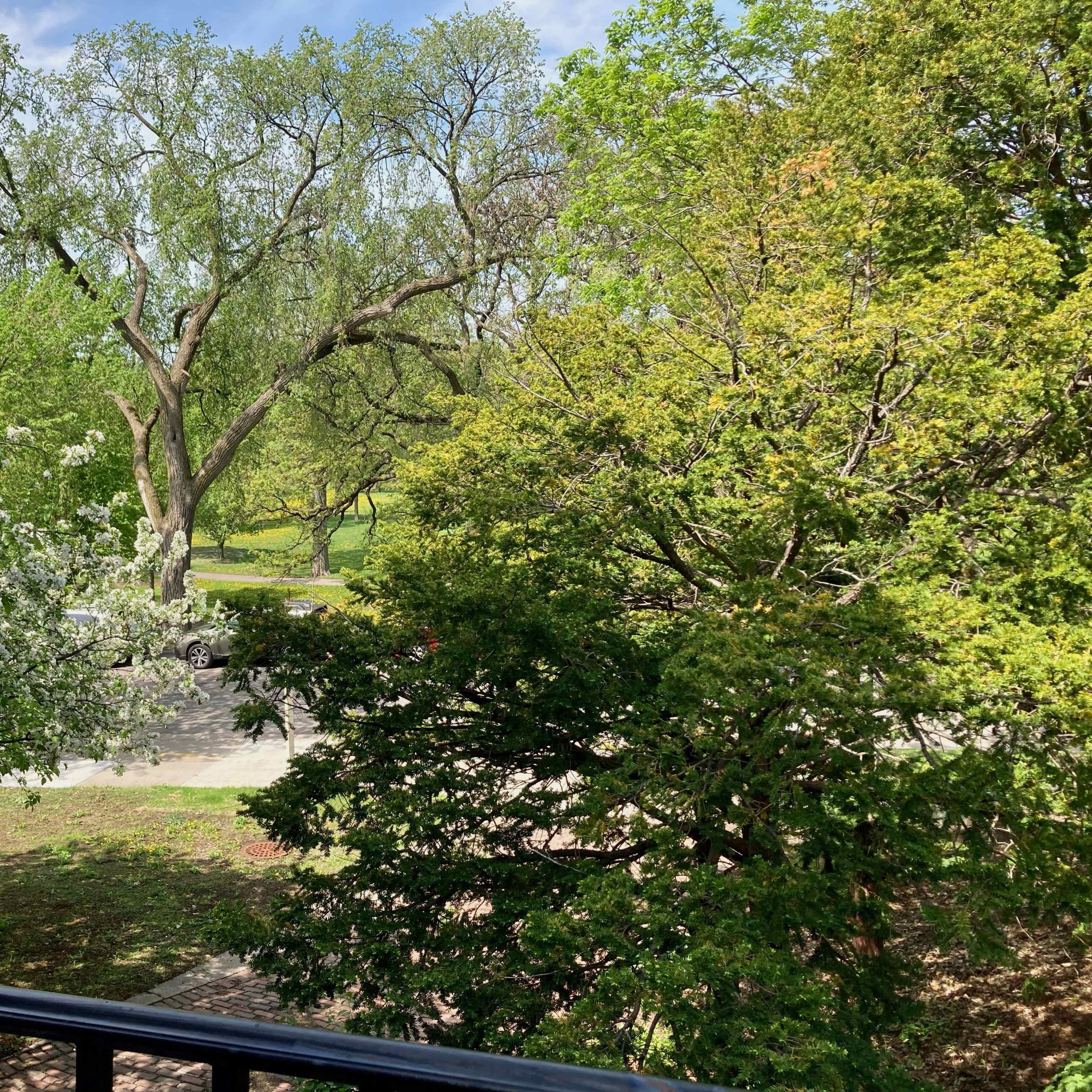 A view from a balcony overlooking a park with trees and a grassy area.
