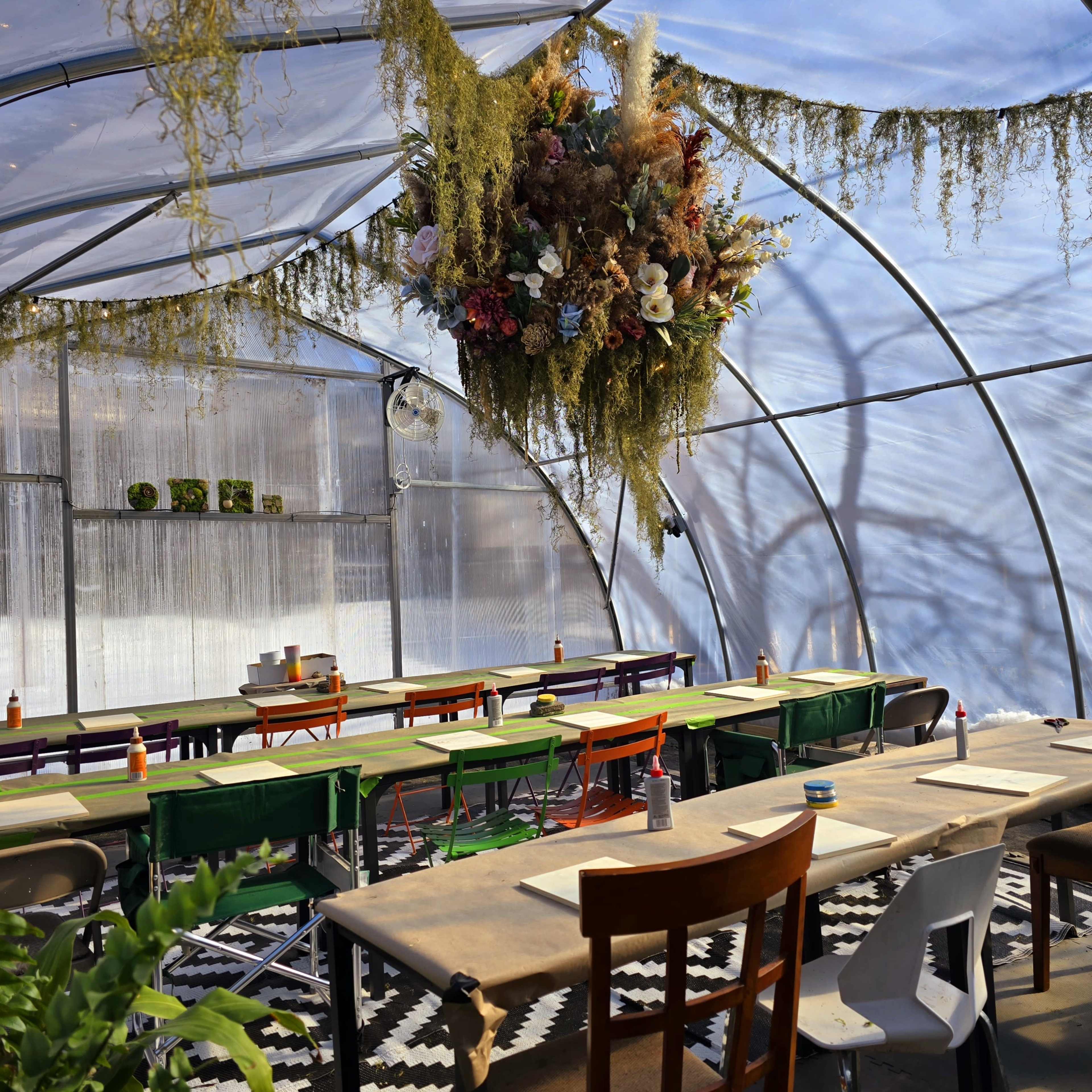 Mood-Lit Greenhouse for Intimate Gatherings & Meetings Image in Elmwood Village, Buffalo, NY