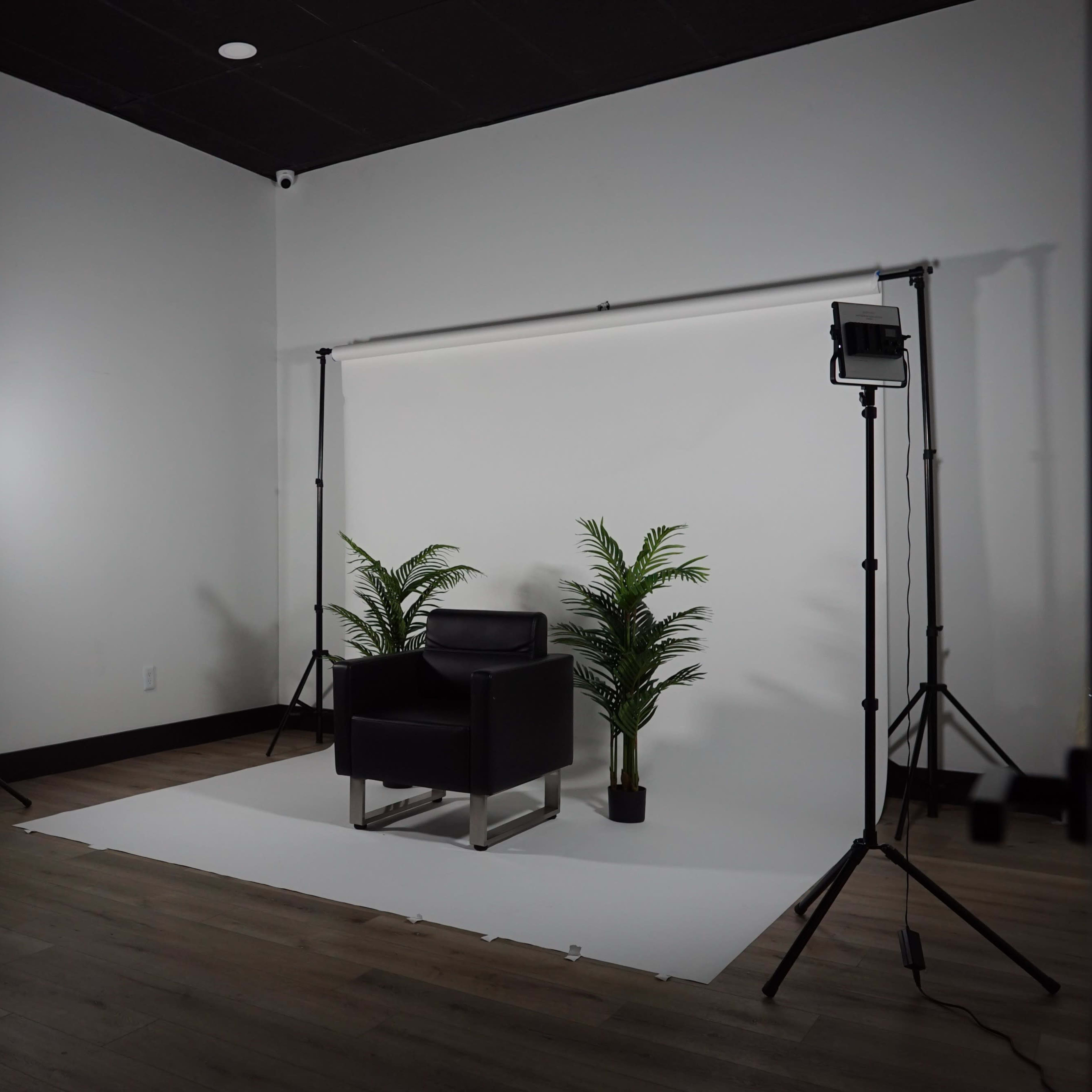 An empty studio setup with a black chair, two potted plants, and lighting equipment positioned against a white backdrop.