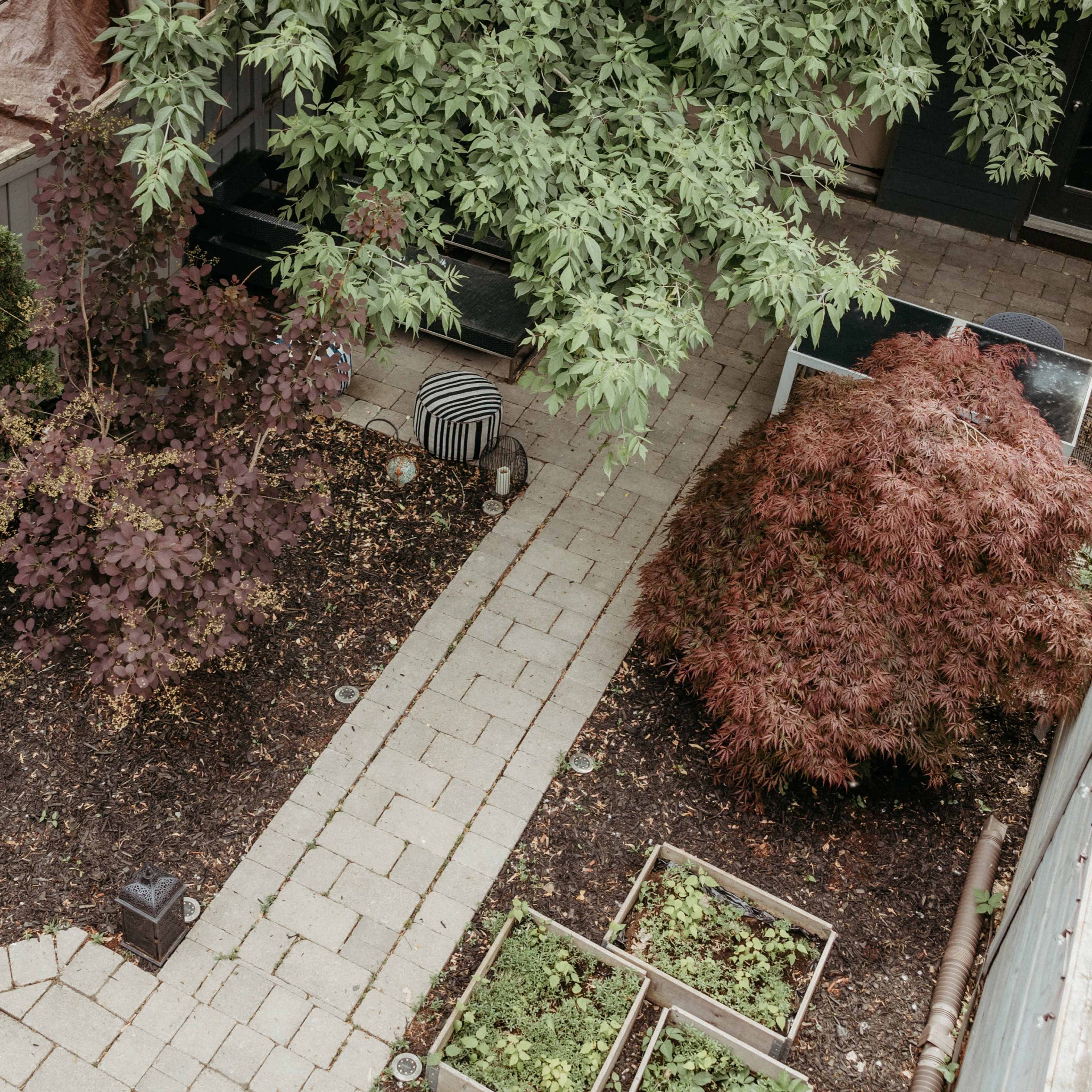 A fenced backyard with neatly arranged stone pathways, flower beds, and various small trees.