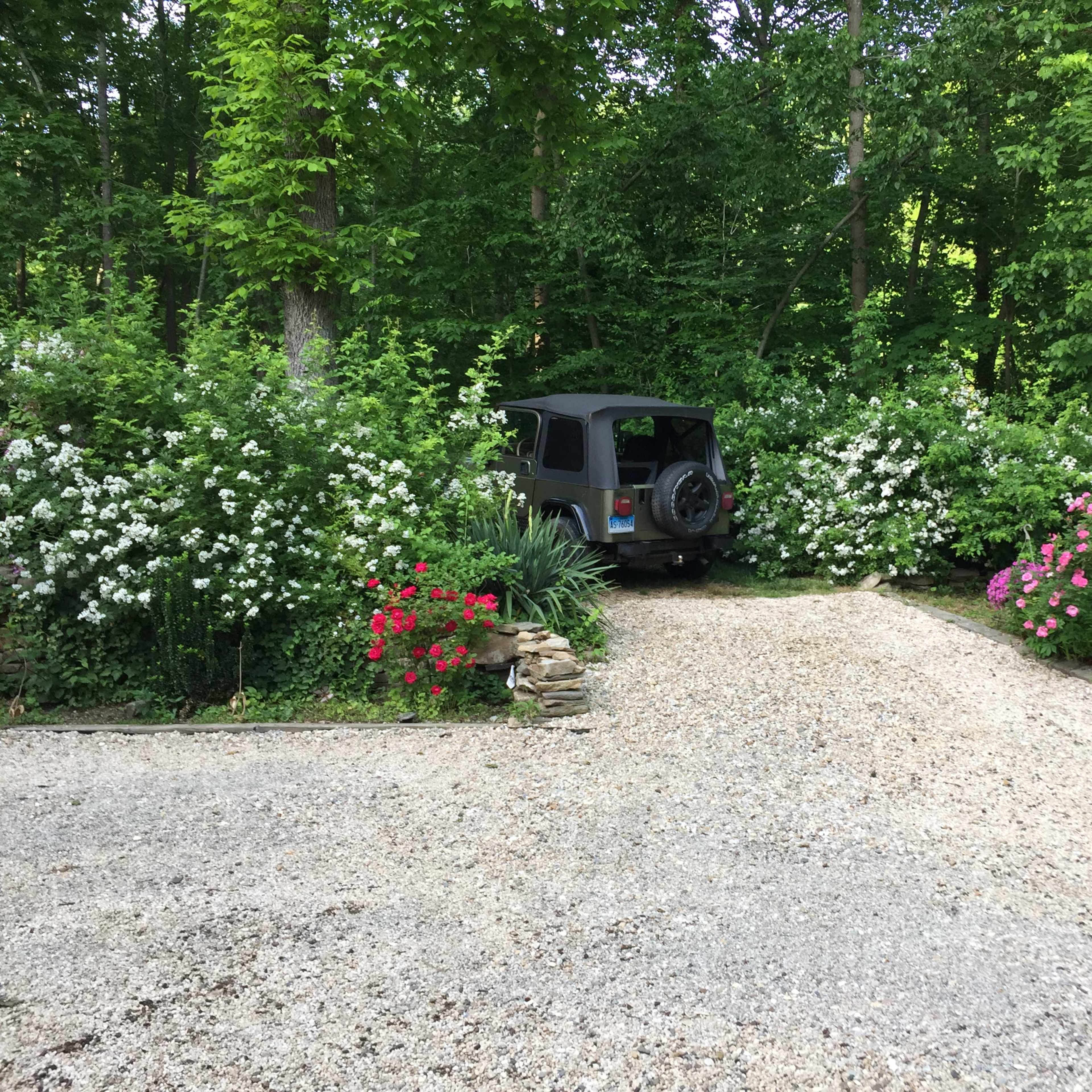 A gray vehicle is parked on a gravel driveway surrounded by lush greenery and flowering shrubs.