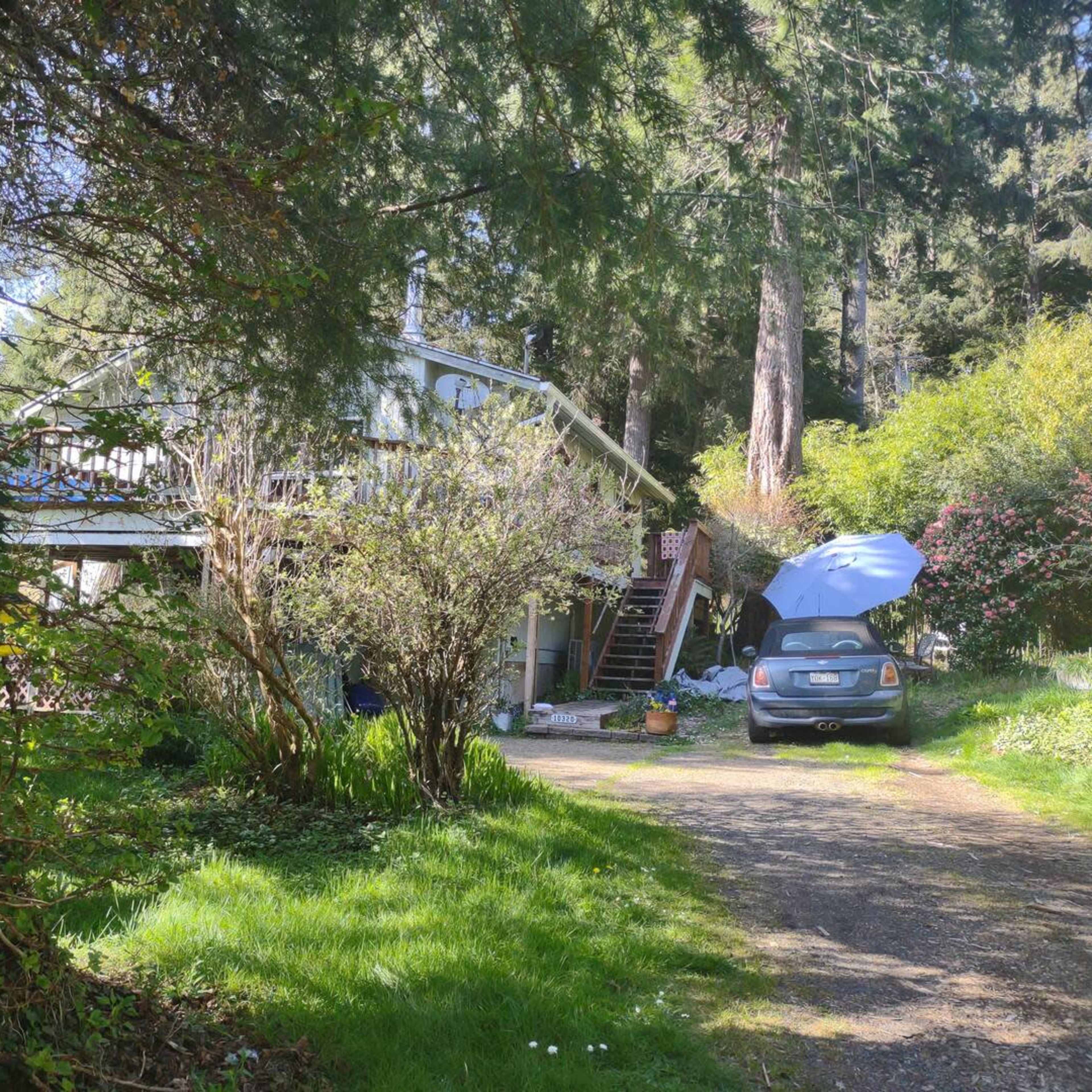 Roomy, whimsy and green Image in Bay City, Bay City, OR