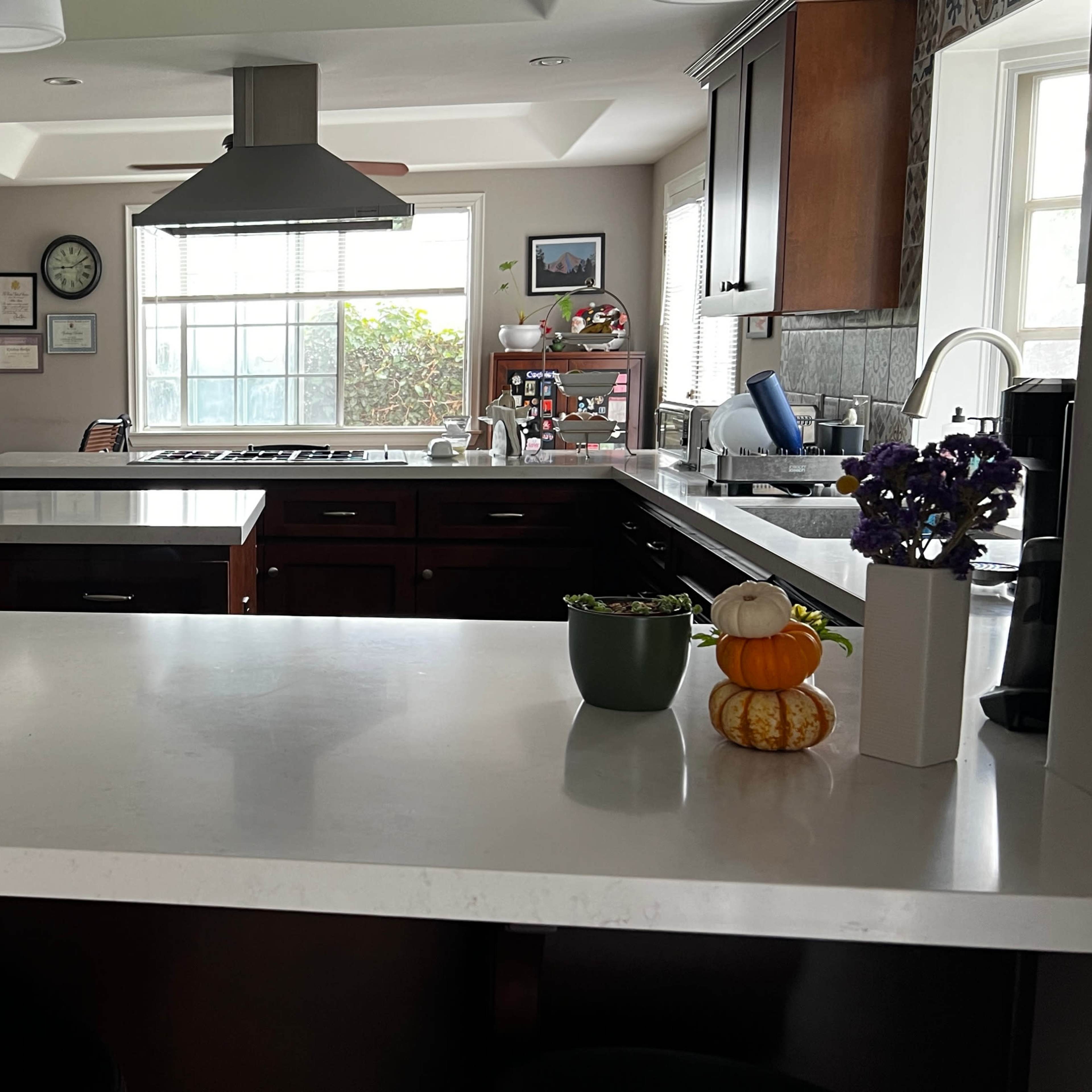 A modern kitchen features dark wood cabinets, a large island with a white countertop, and a range hood above the stove.