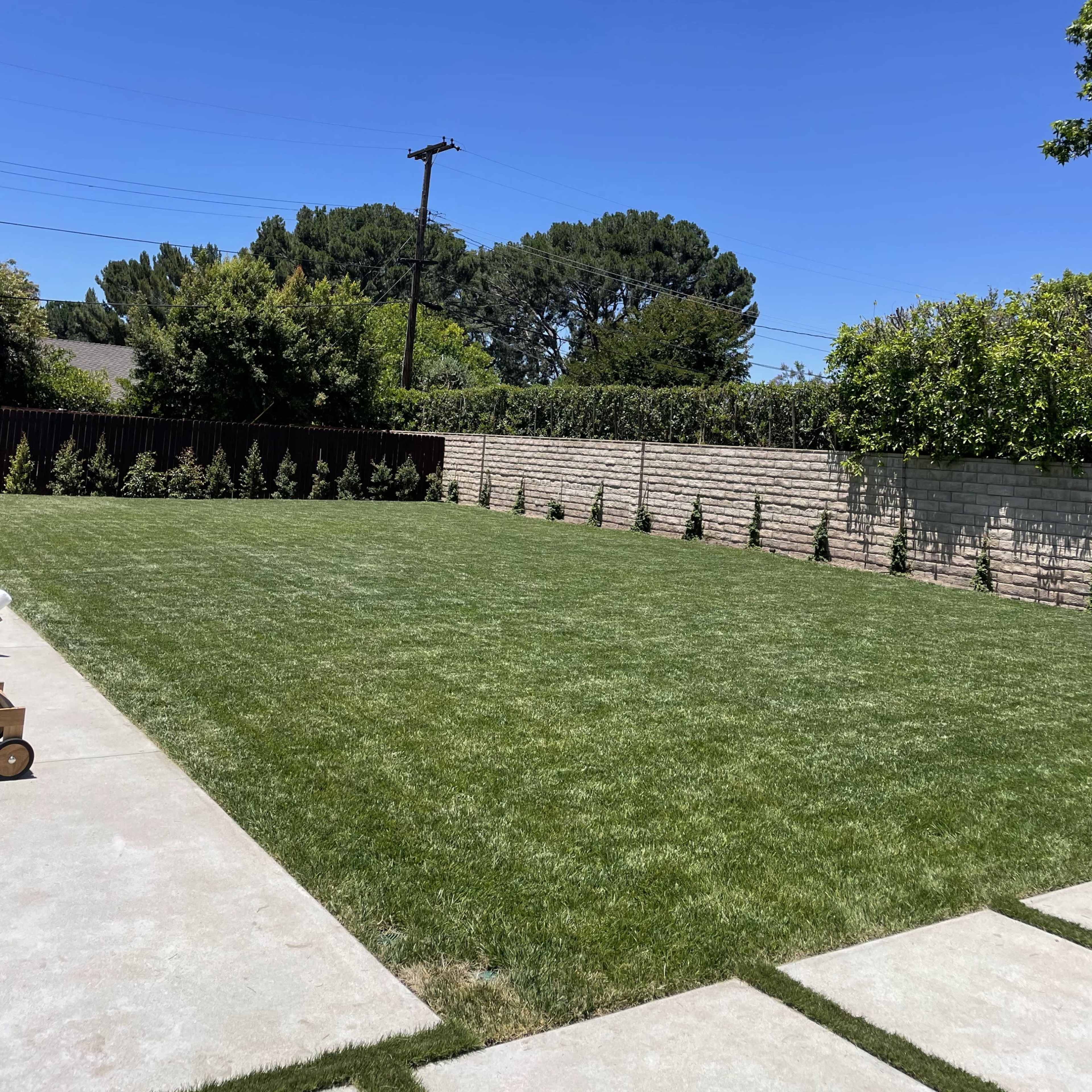A grassy backyard fenced by a low stone wall, with small trees lining the perimeter under a clear blue sky.
