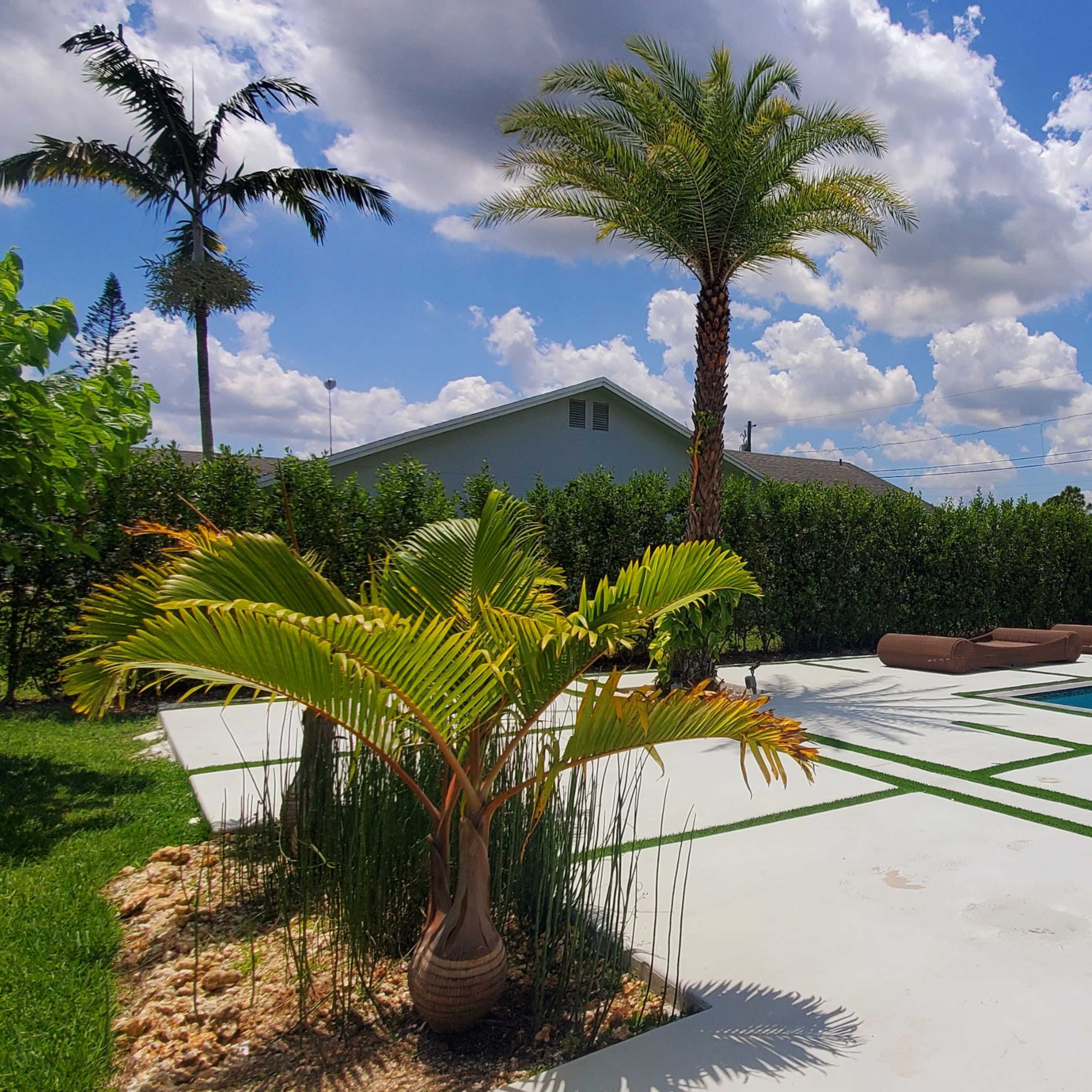 Miami Luxury pool and Outdoor space for events Image in , Homestead, FL