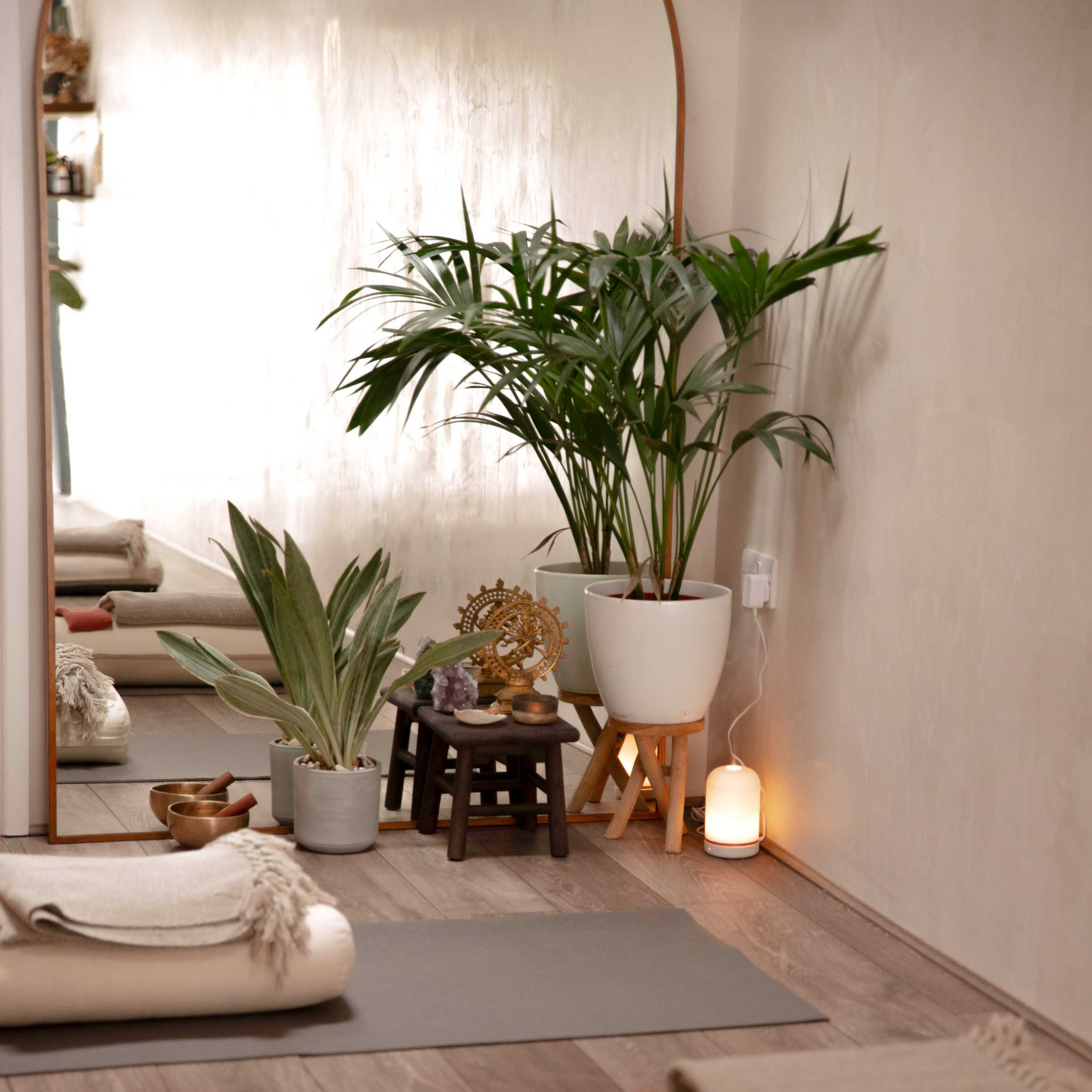 Boutique Yoga, Pilates & Wellness Studio Image in Battersea, London, England