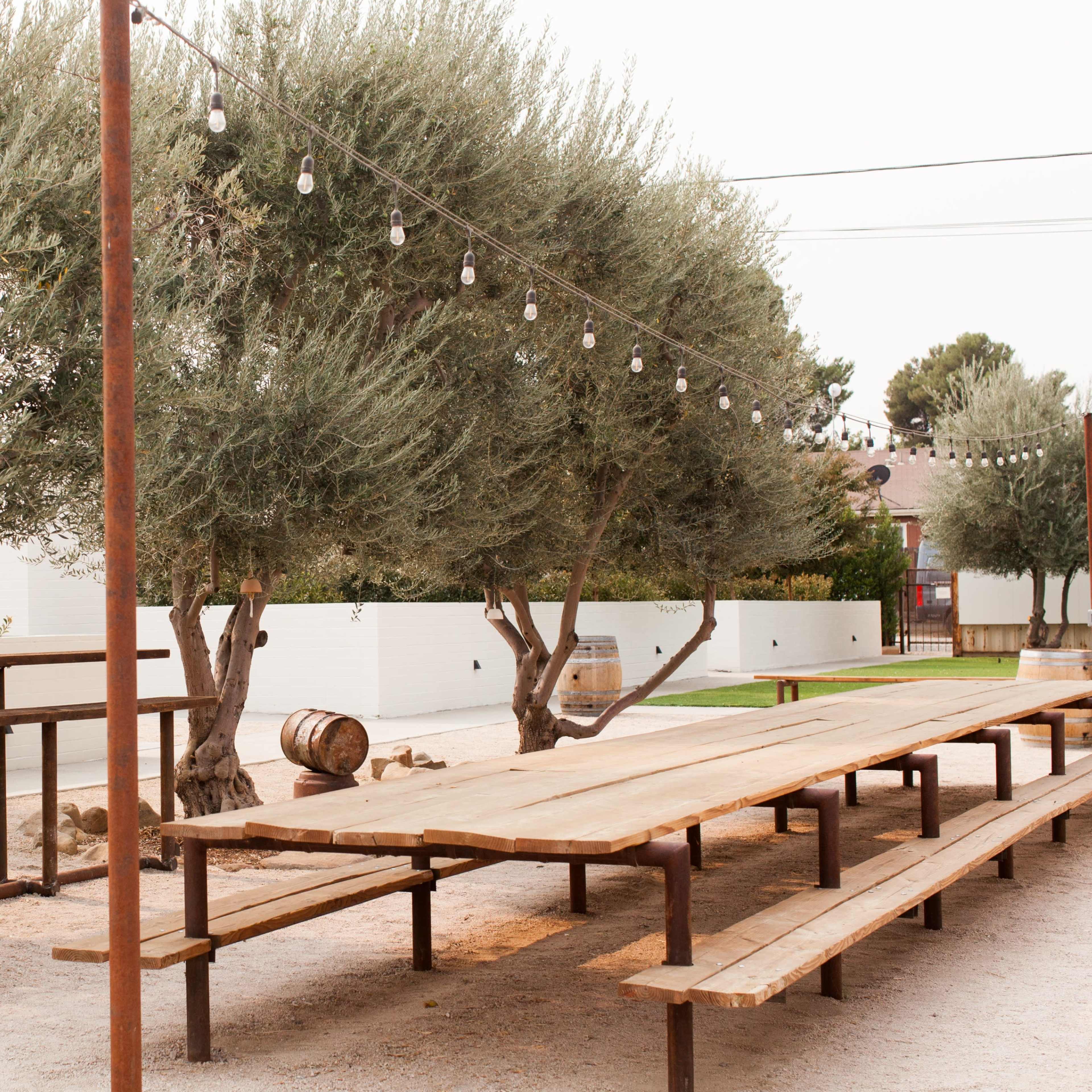 A long wooden table is set underneath olive trees, surrounded by gravel and string lights.
