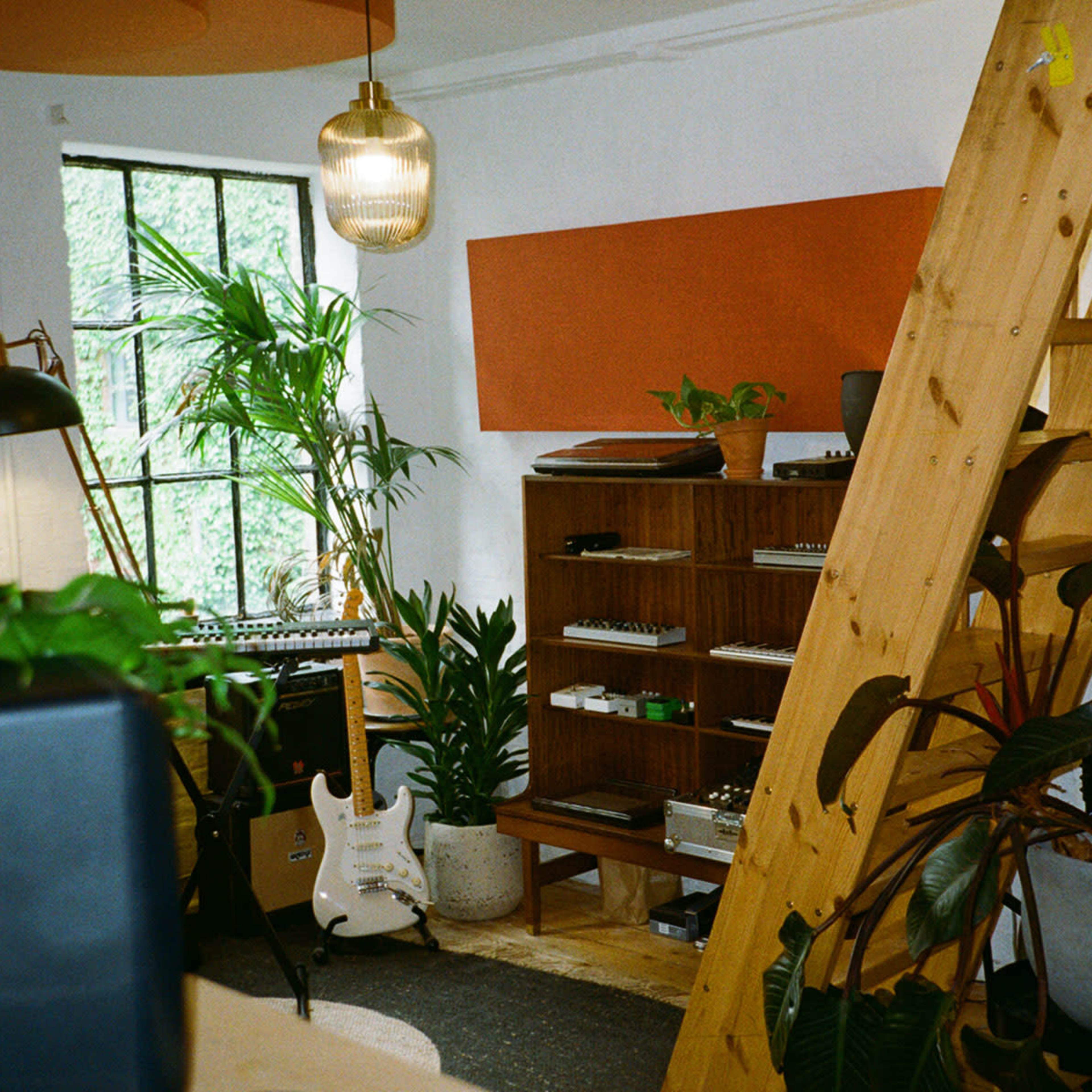 A cozy indoor space featuring a wooden ladder, a collection of plants, musical instruments, and a shelving unit against a wall.
