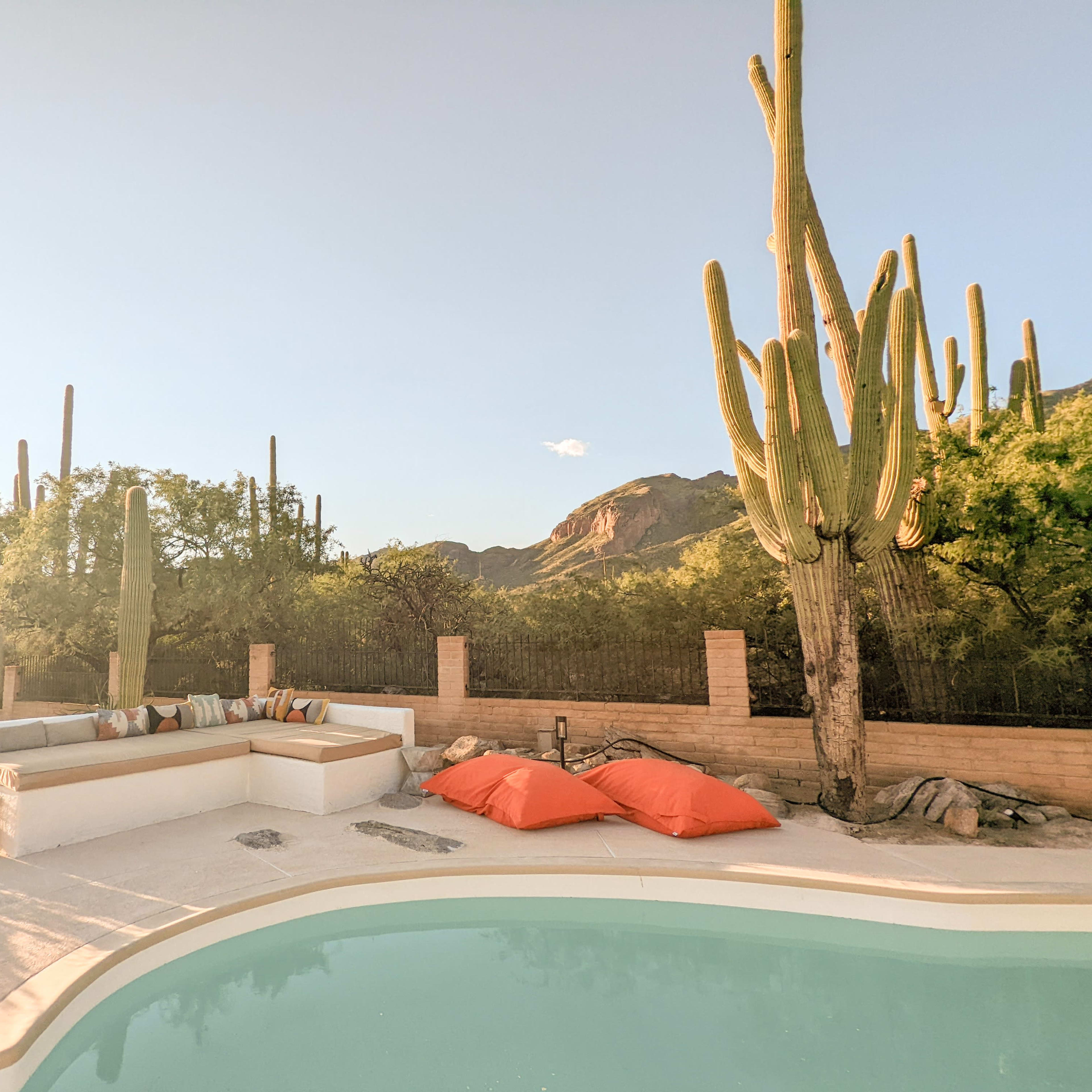A swimming pool sits next to a seating area, surrounded by desert vegetation and tall cacti under a clear sky.