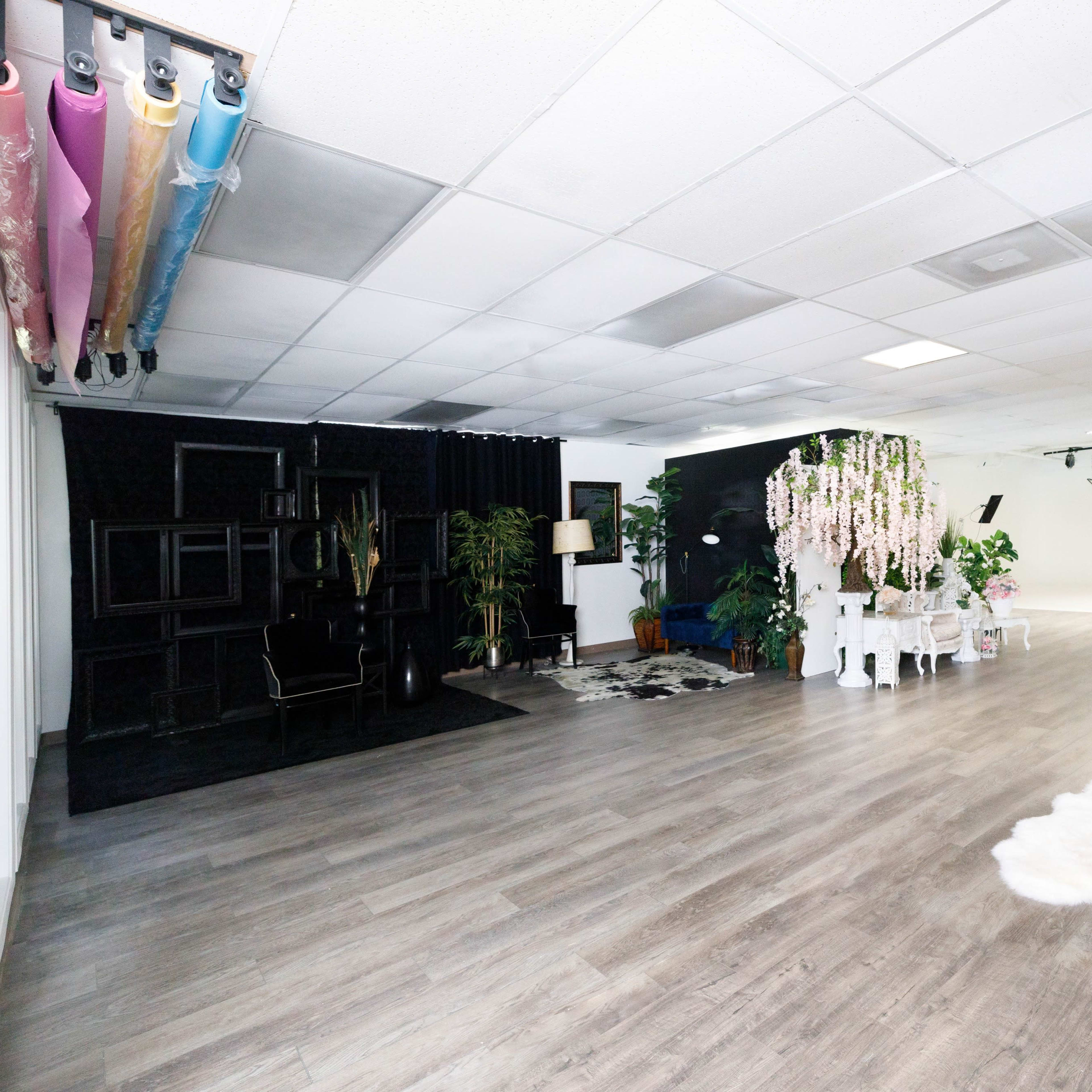 A spacious room with various seating arrangements, decorative plants, and distinct areas featuring different furnishings and wall colors.