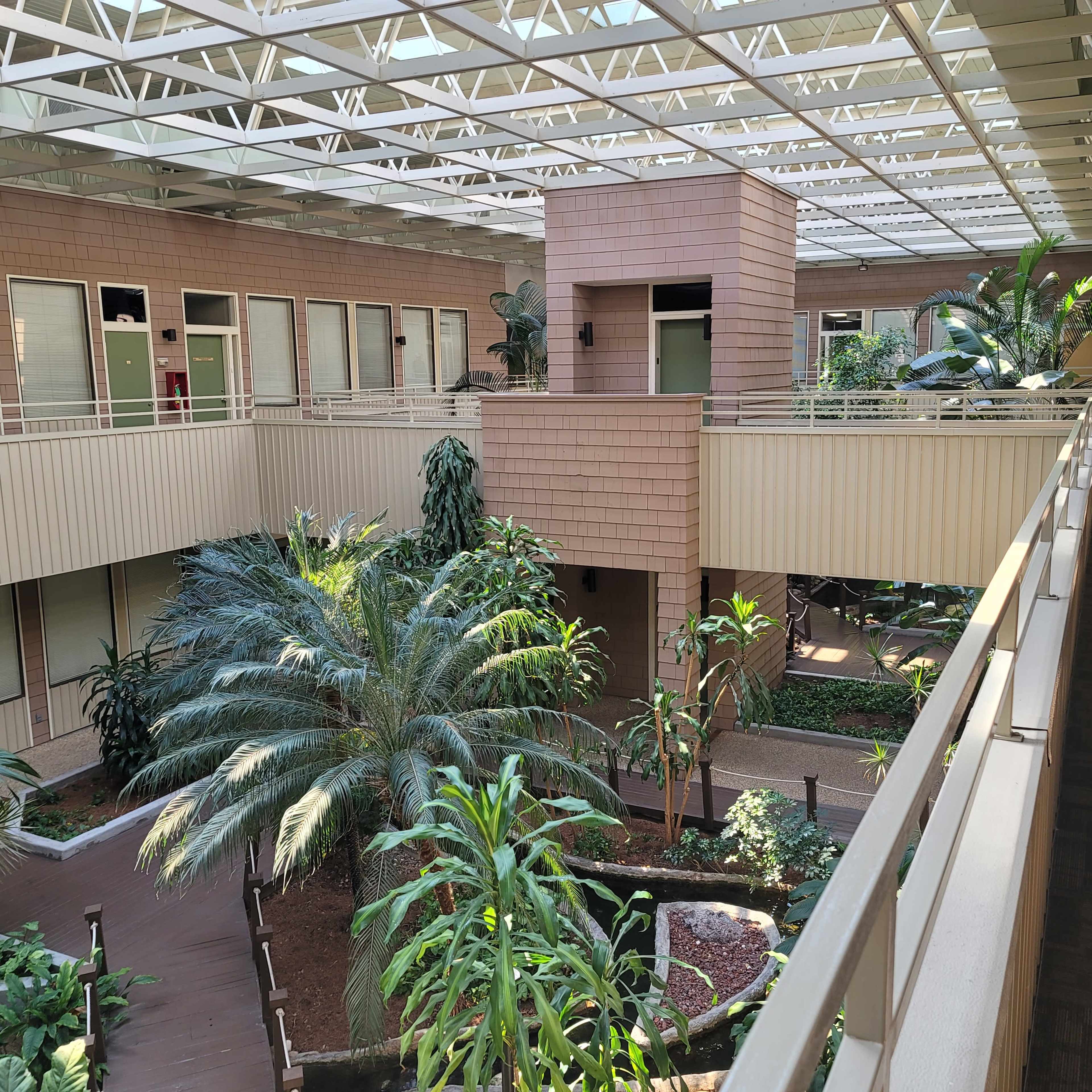 An indoor atrium with several potted plants and palm trees, surrounded by a walkway and large windows overhead.