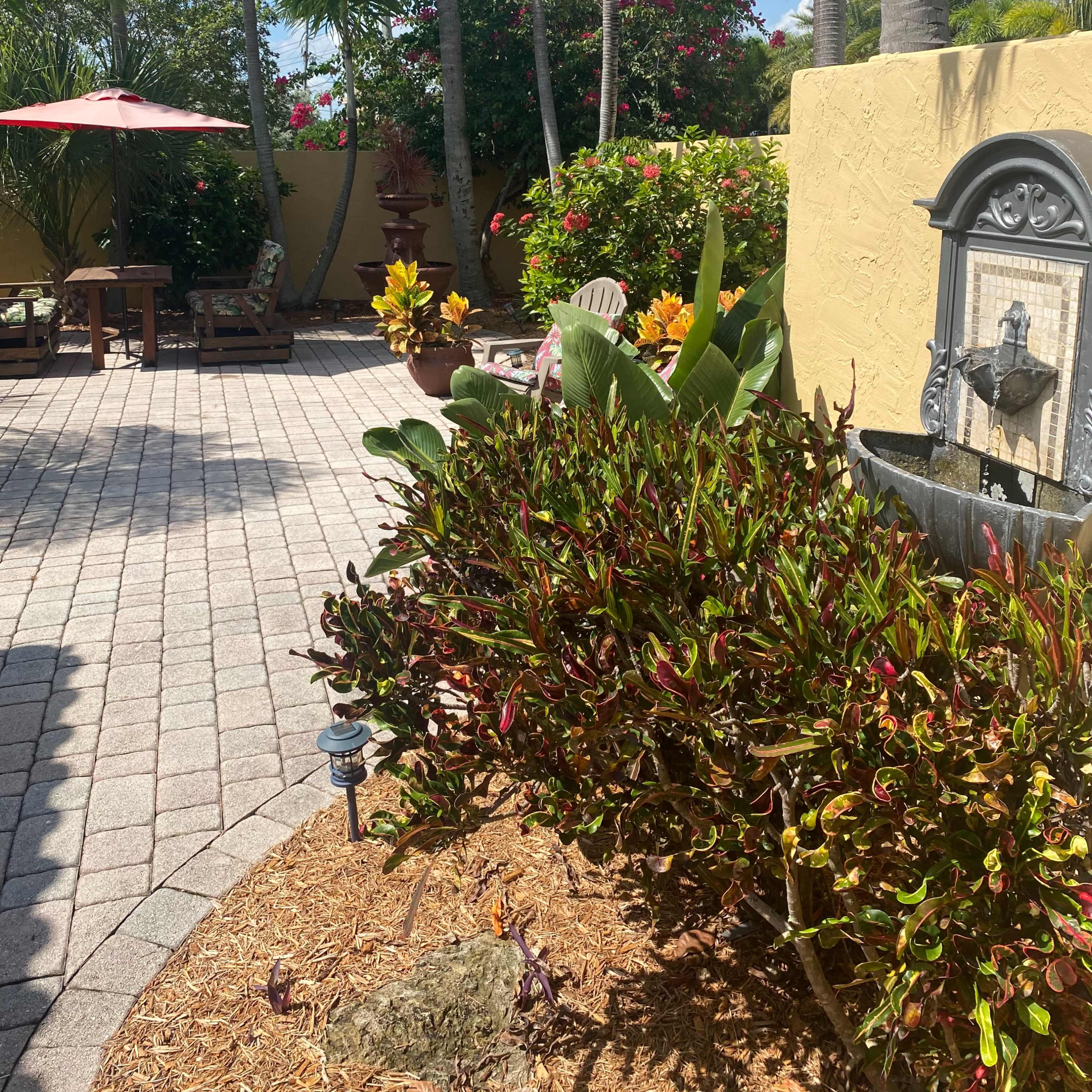 A landscaped patio features tropical plants, a fountain, and seating under a red umbrella.