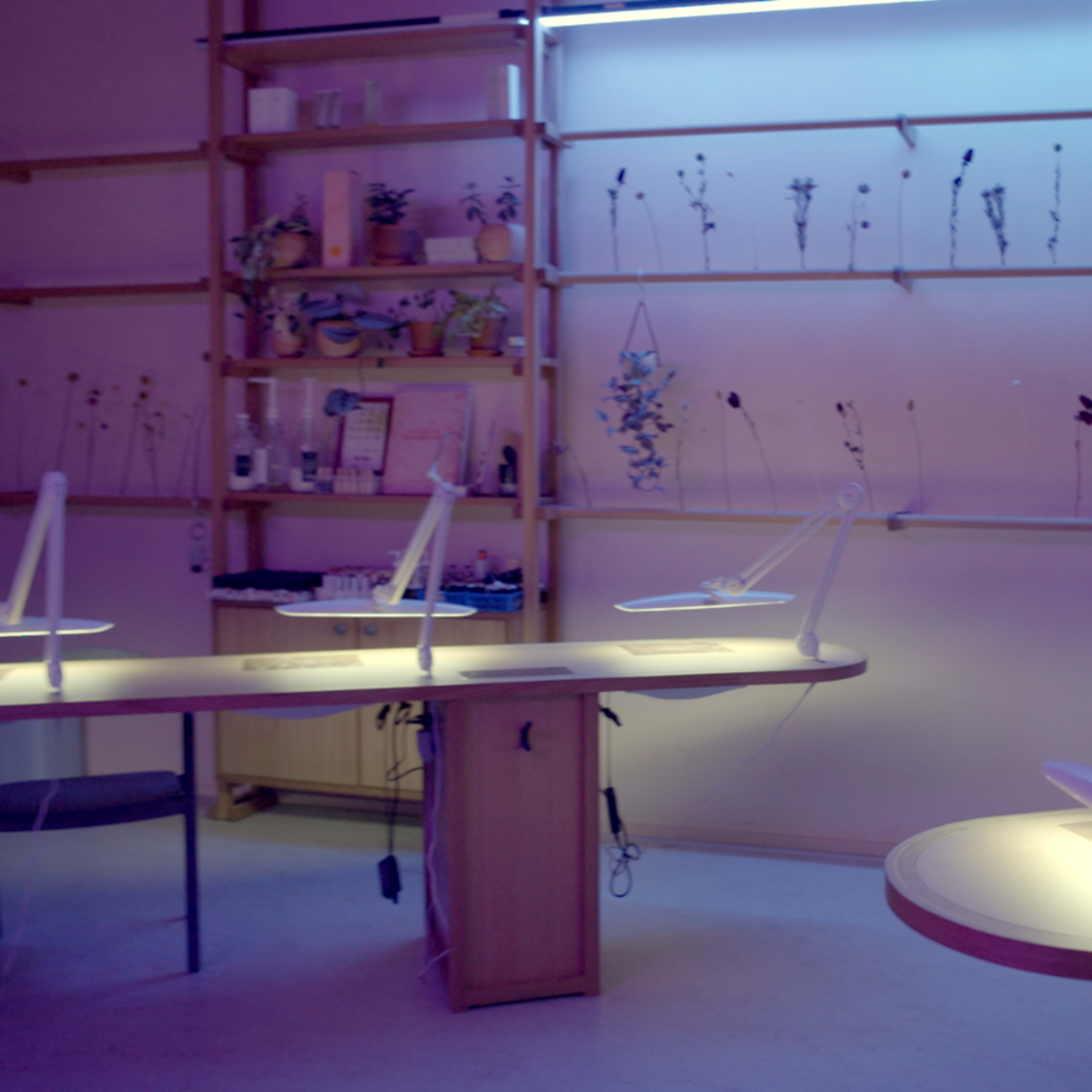 RDN Studio Image in Boerum Hill, Brooklyn, NY