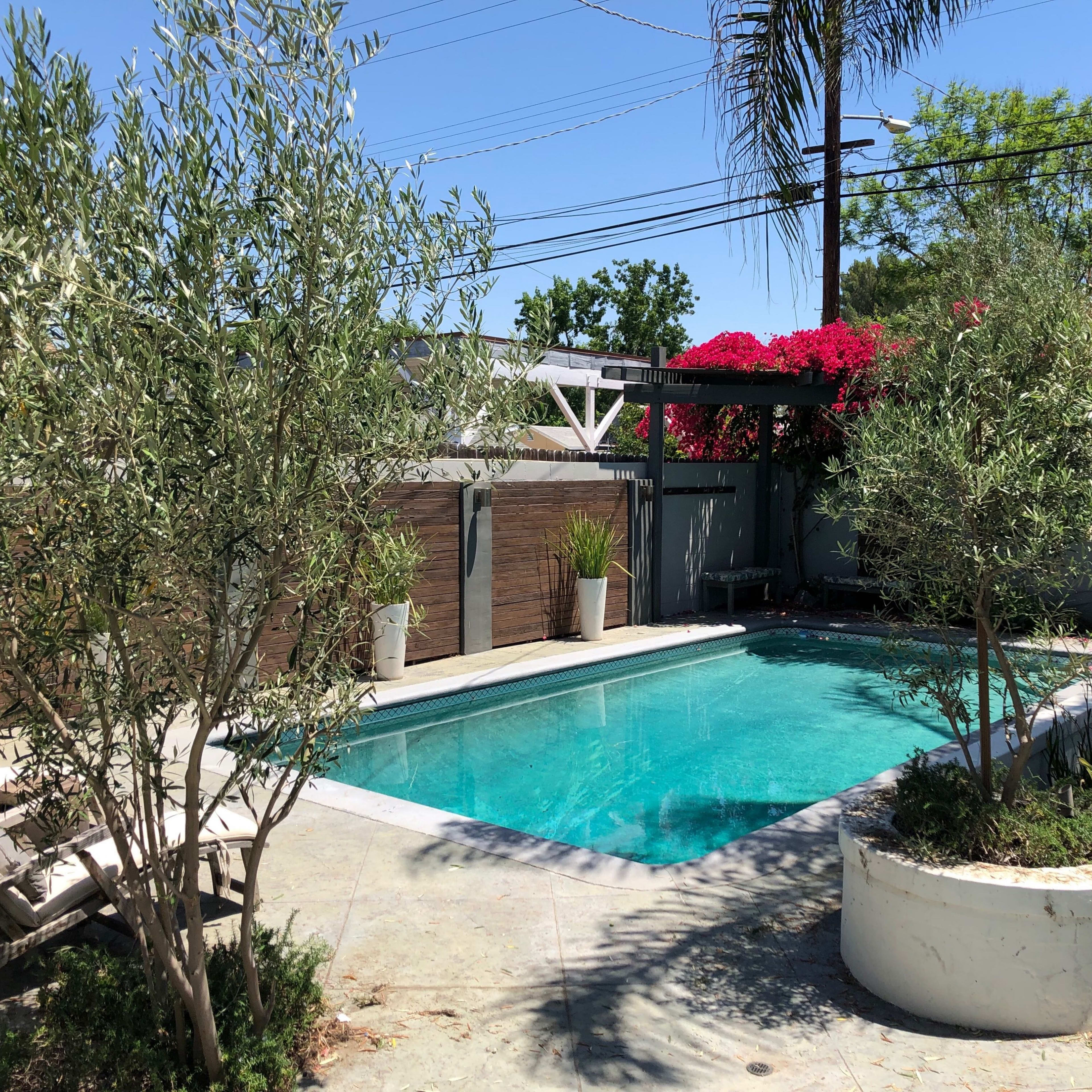 A clear swimming pool is surrounded by palm trees and flowering shrubs, with wooden fences in the background.