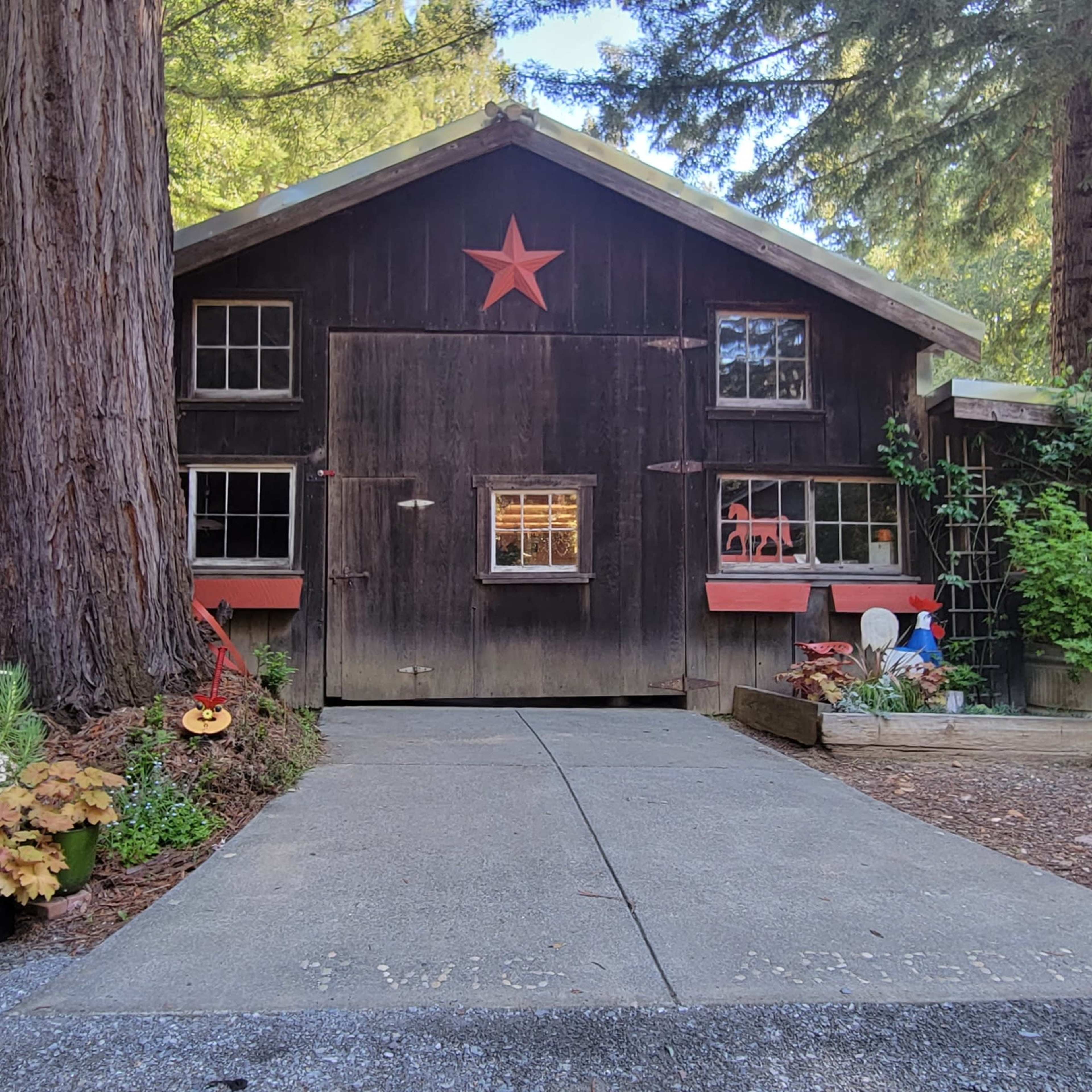 A rustic wooden cabin with a star on the front, surrounded by tall redwood trees and a stone pathway leading to a garden area.
