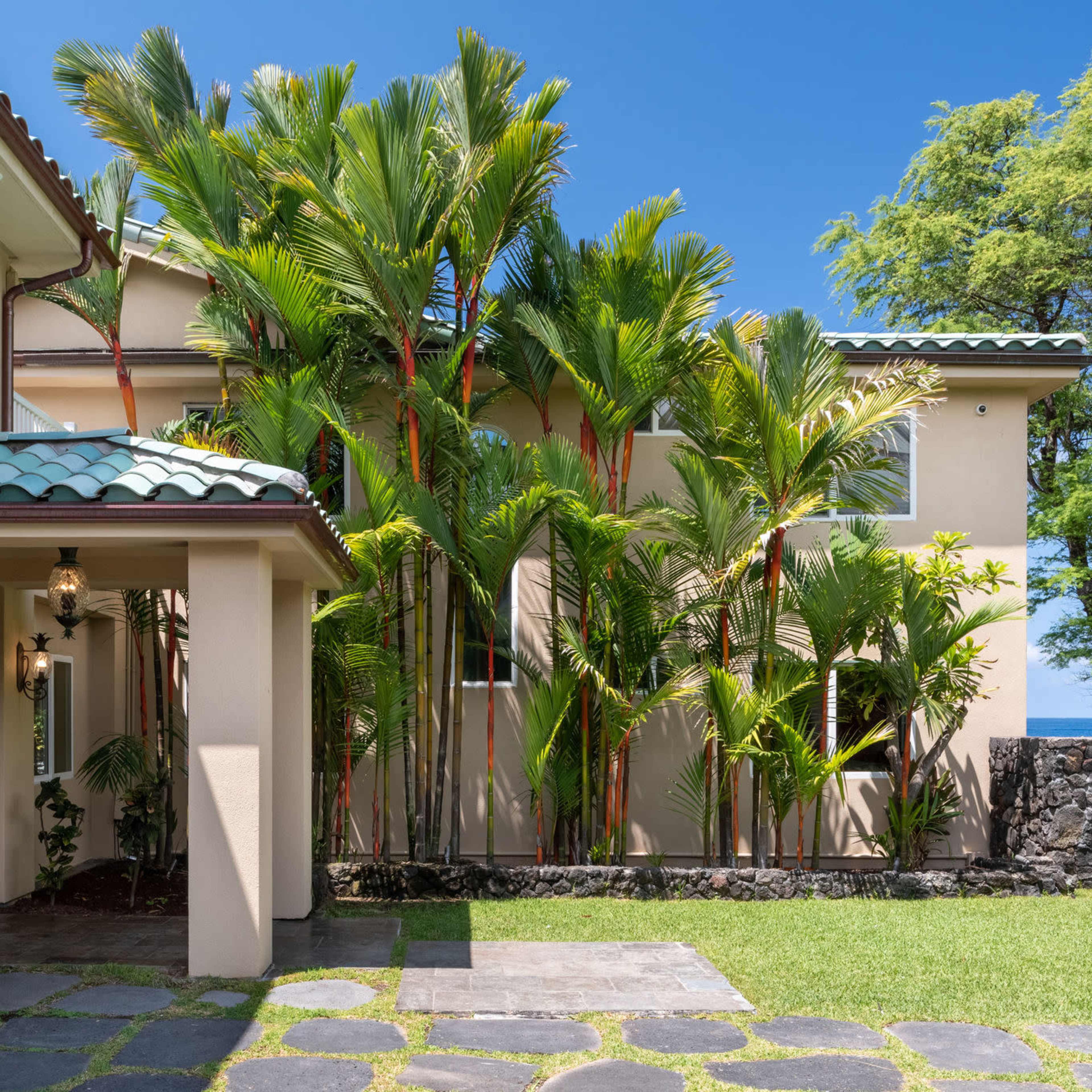 A house with a path of stone tiles is surrounded by tall palm trees and green foliage.