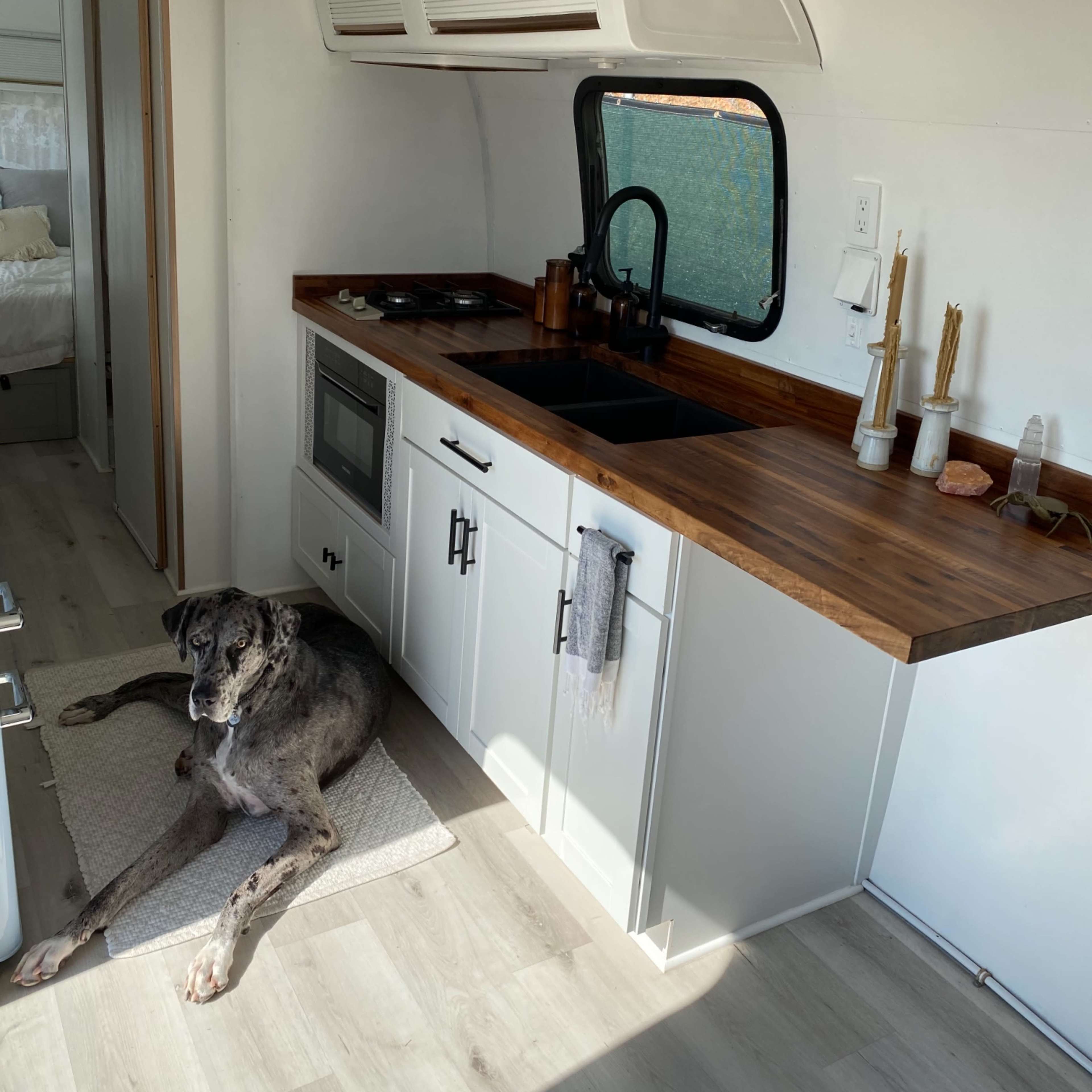 A large dog lies on a rug beside a modern kitchen area featuring a wooden countertop and a sink in an Airstream trailer.