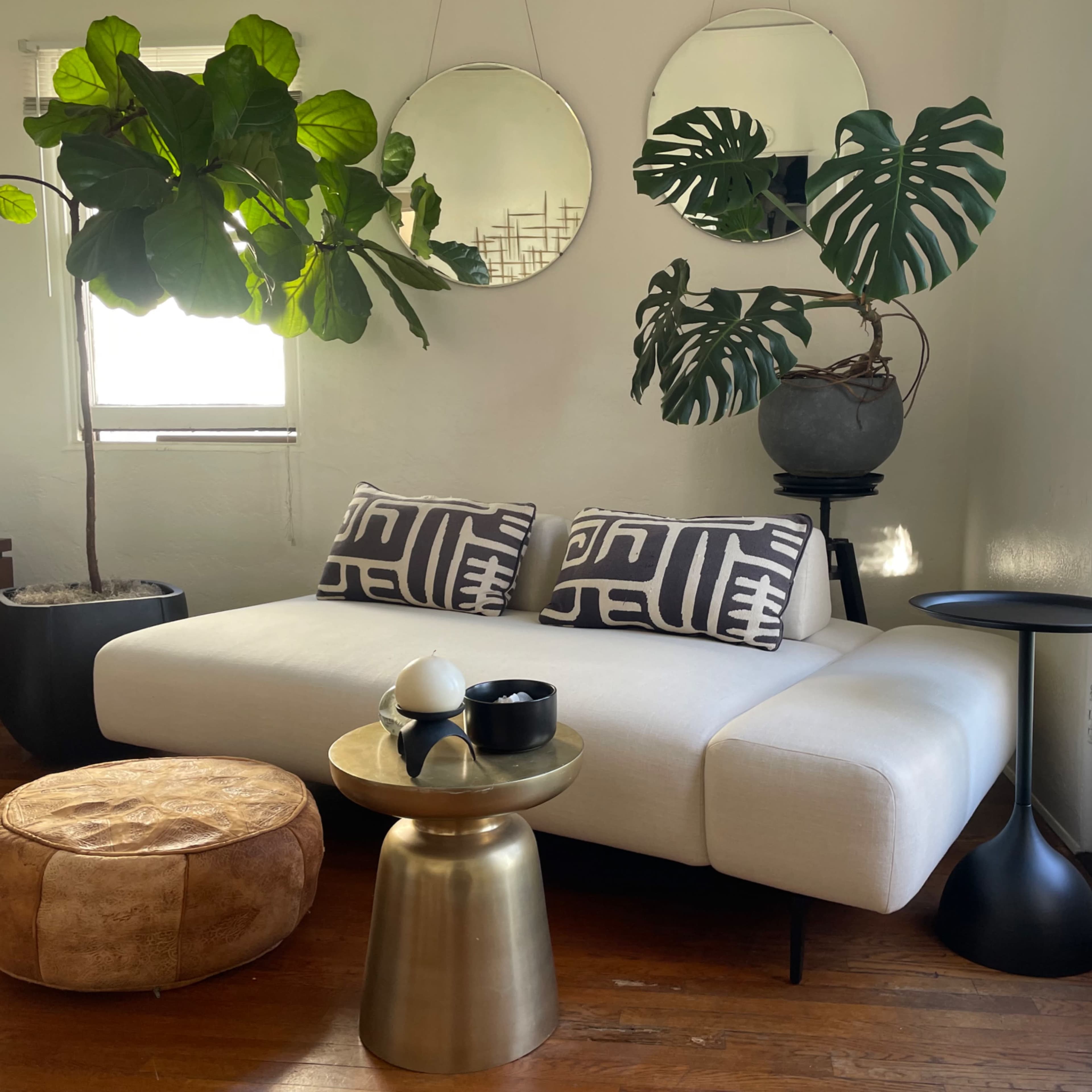 1920's Mid-century Spanish Eclectic Apt in North Park/Hillcrest Image in North Park, San Diego, CA