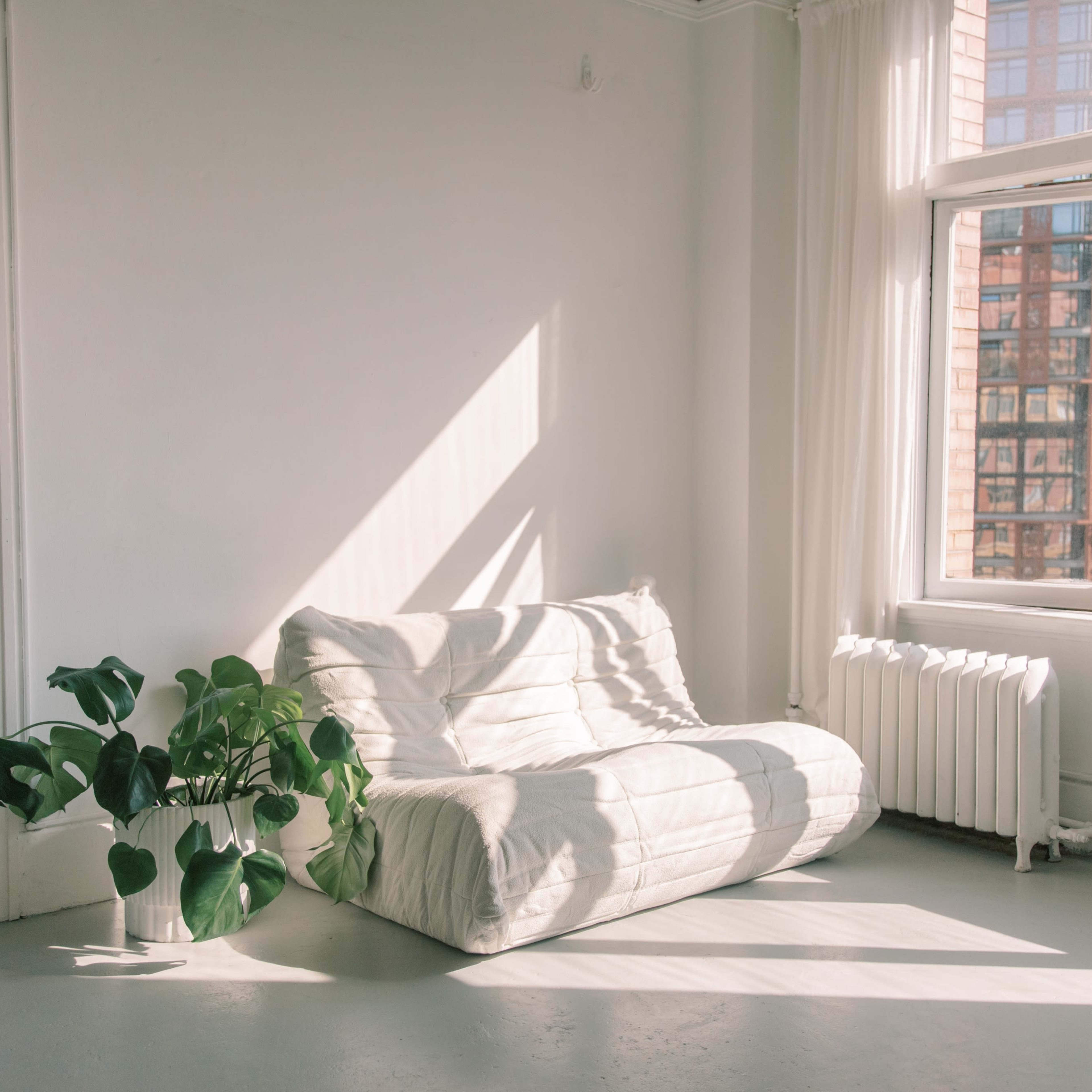 A light-filled room features a white sofa next to a potted plant and a window with city views.