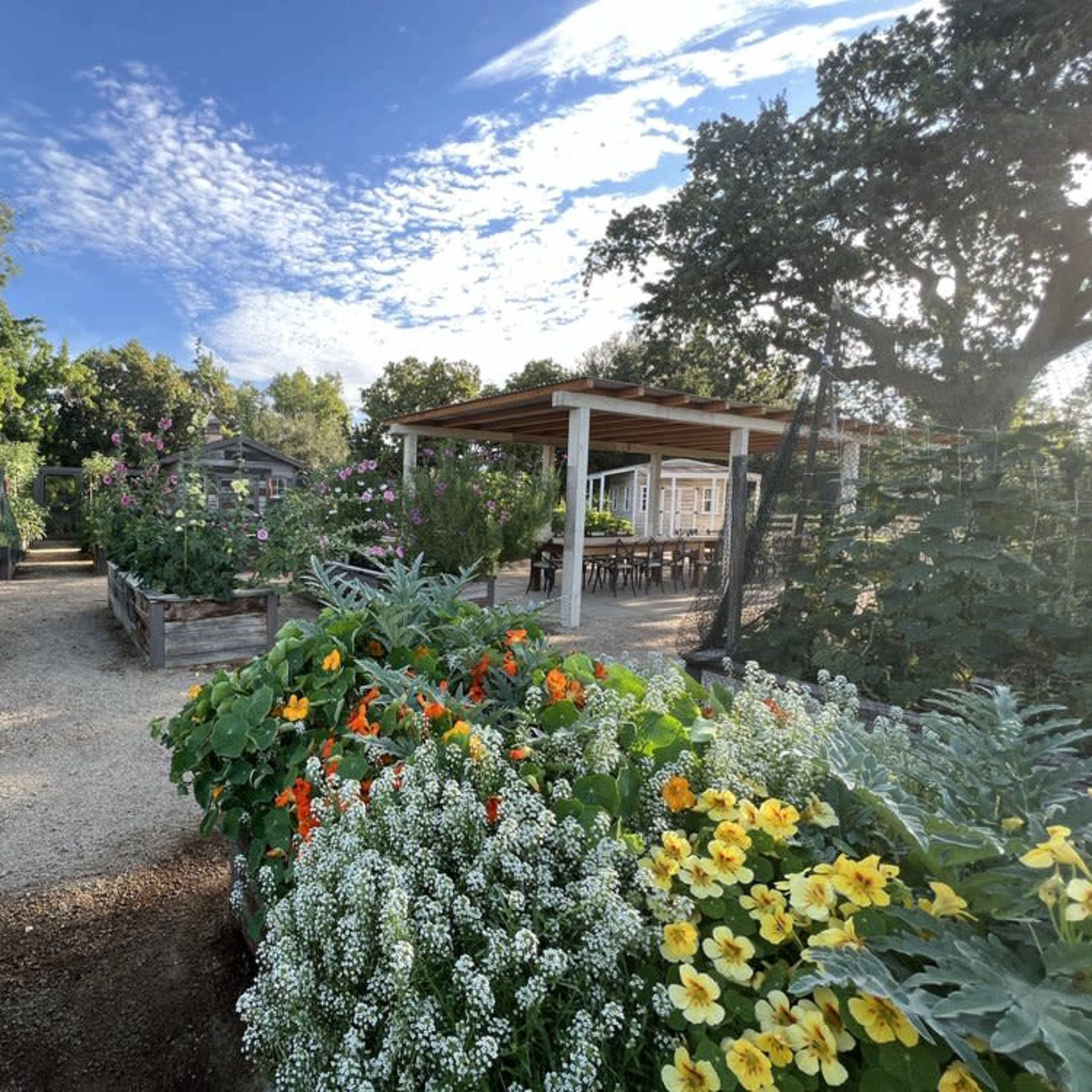 A community garden with raised garden beds filled with flowers and vegetables, a wooden pavilion in the background, and clear blue skies above.
