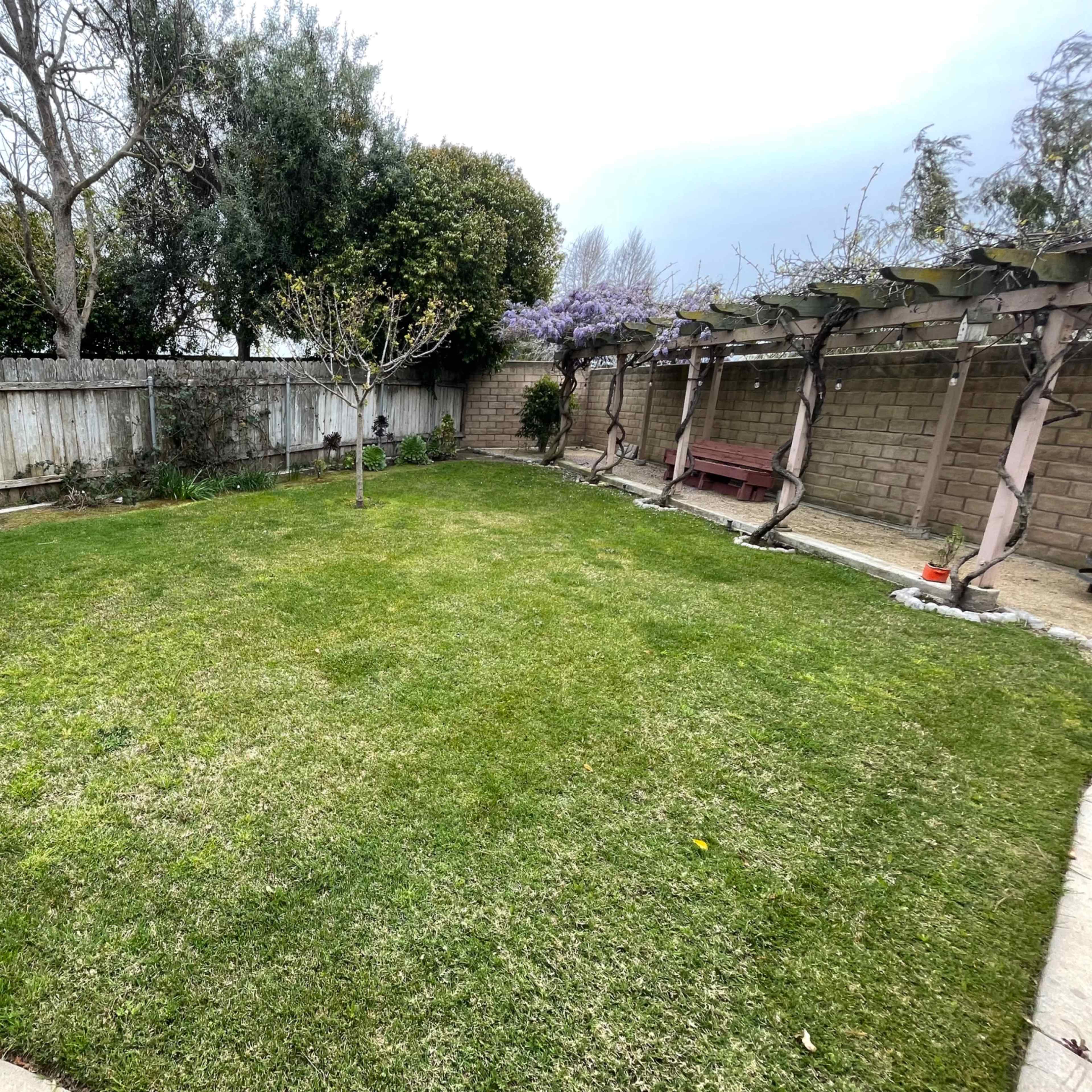 A neatly maintained backyard with grassy areas, trees, and a seating area near a wall.