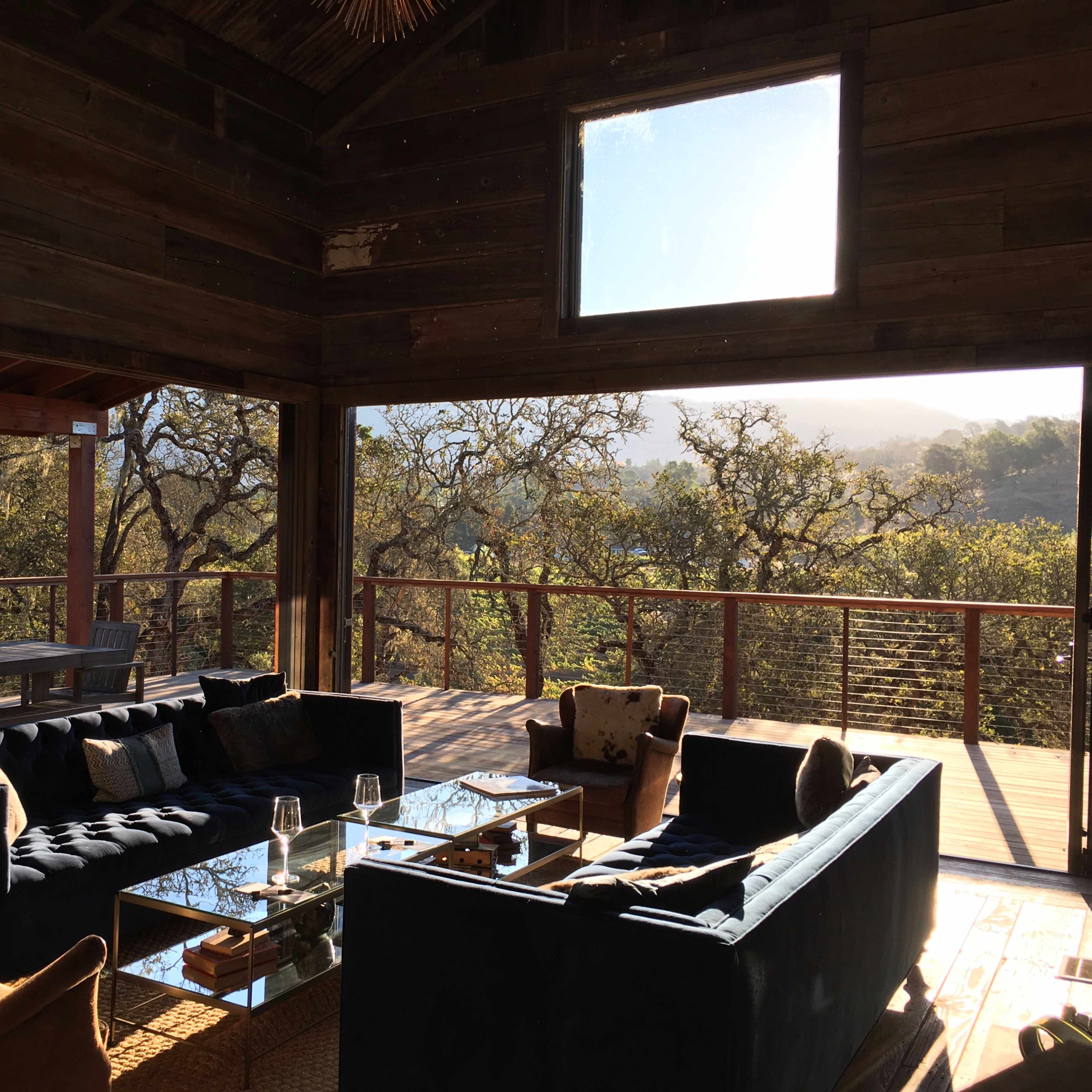 A modern wooden interior with blue sofas, a glass coffee table, and large windows overlooking a treed landscape.