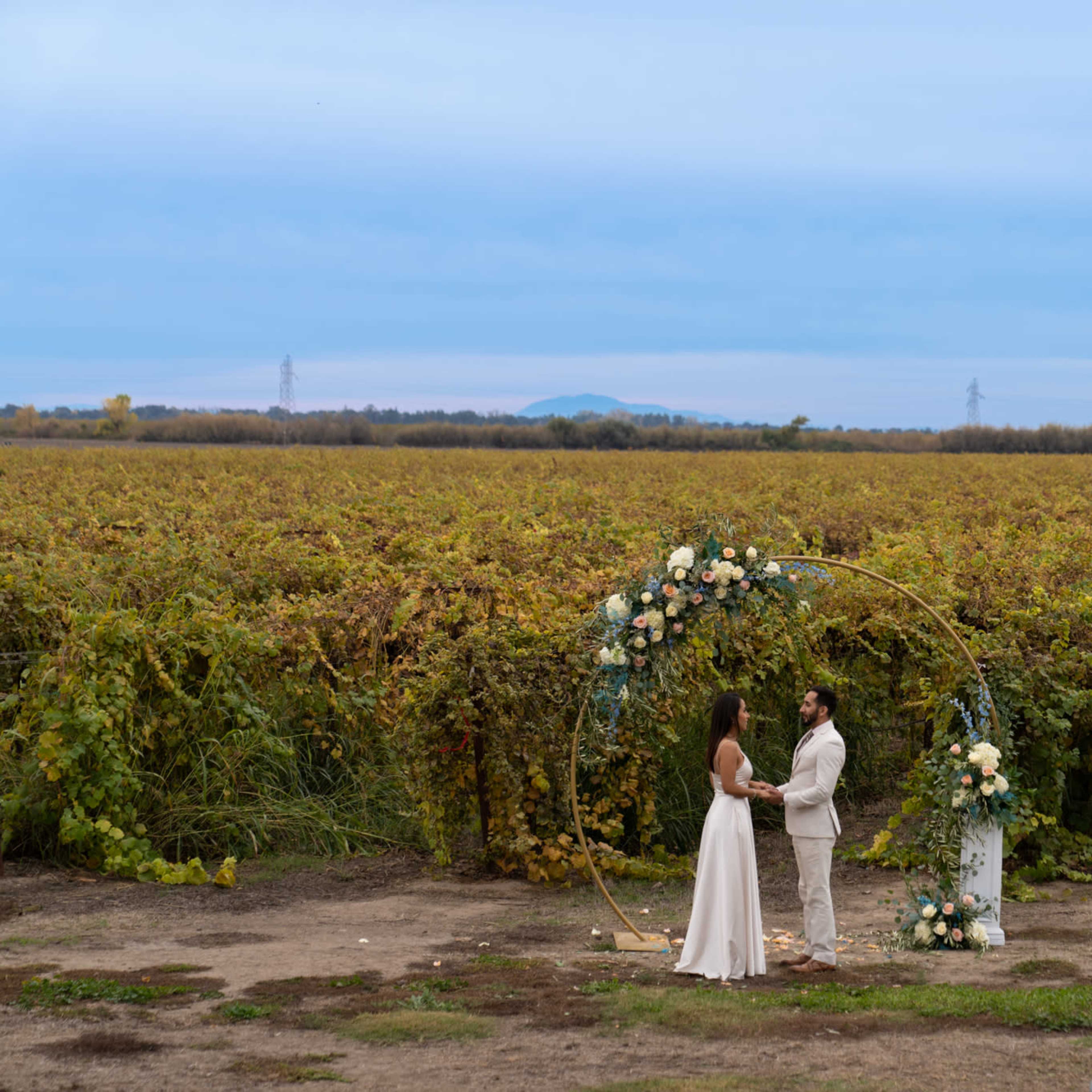 A couple stands under a floral arch exchanging vows in a vineyard with rows of grapevines stretching into the distance.