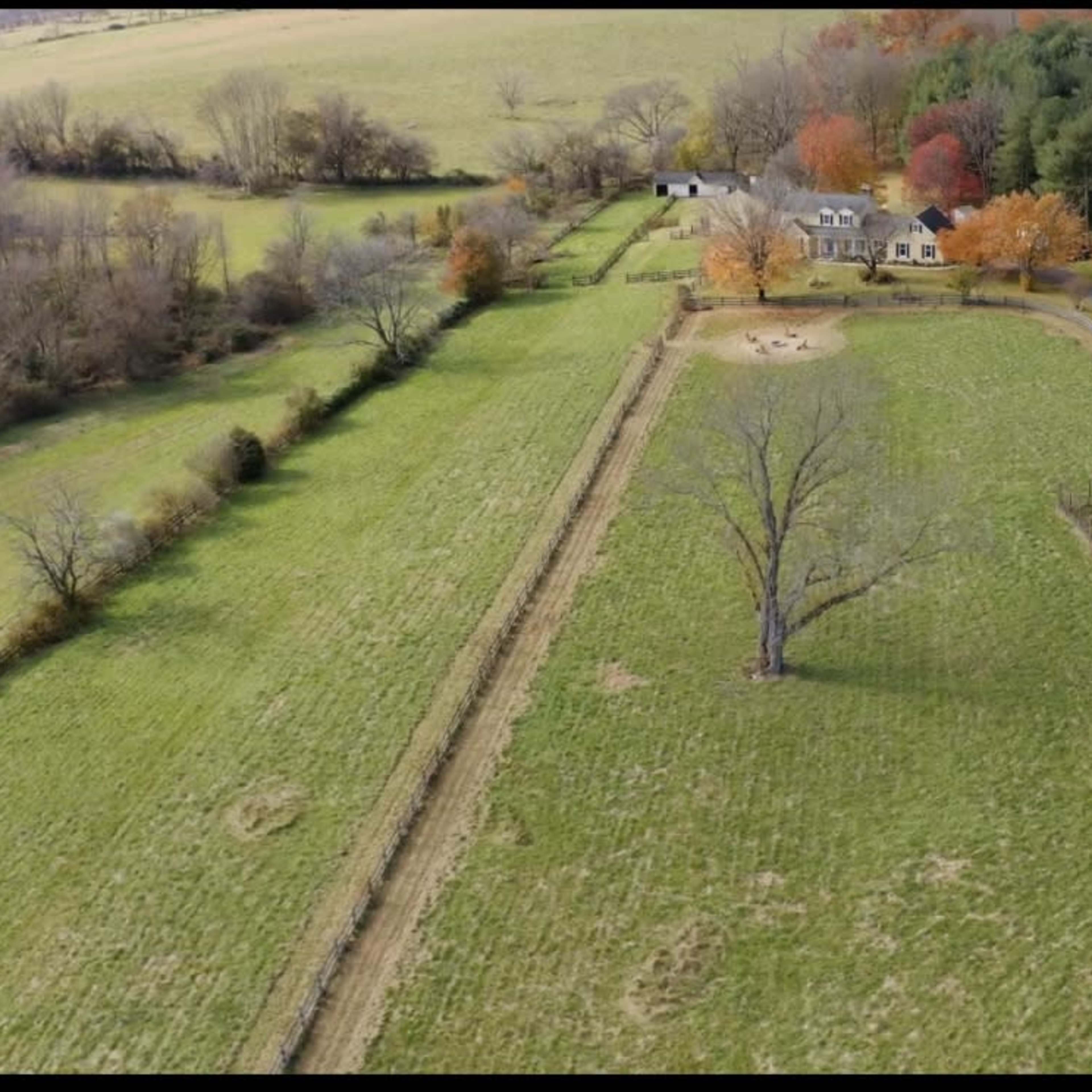 Beautiful Acres With Barn Image in , Leesburg, VA