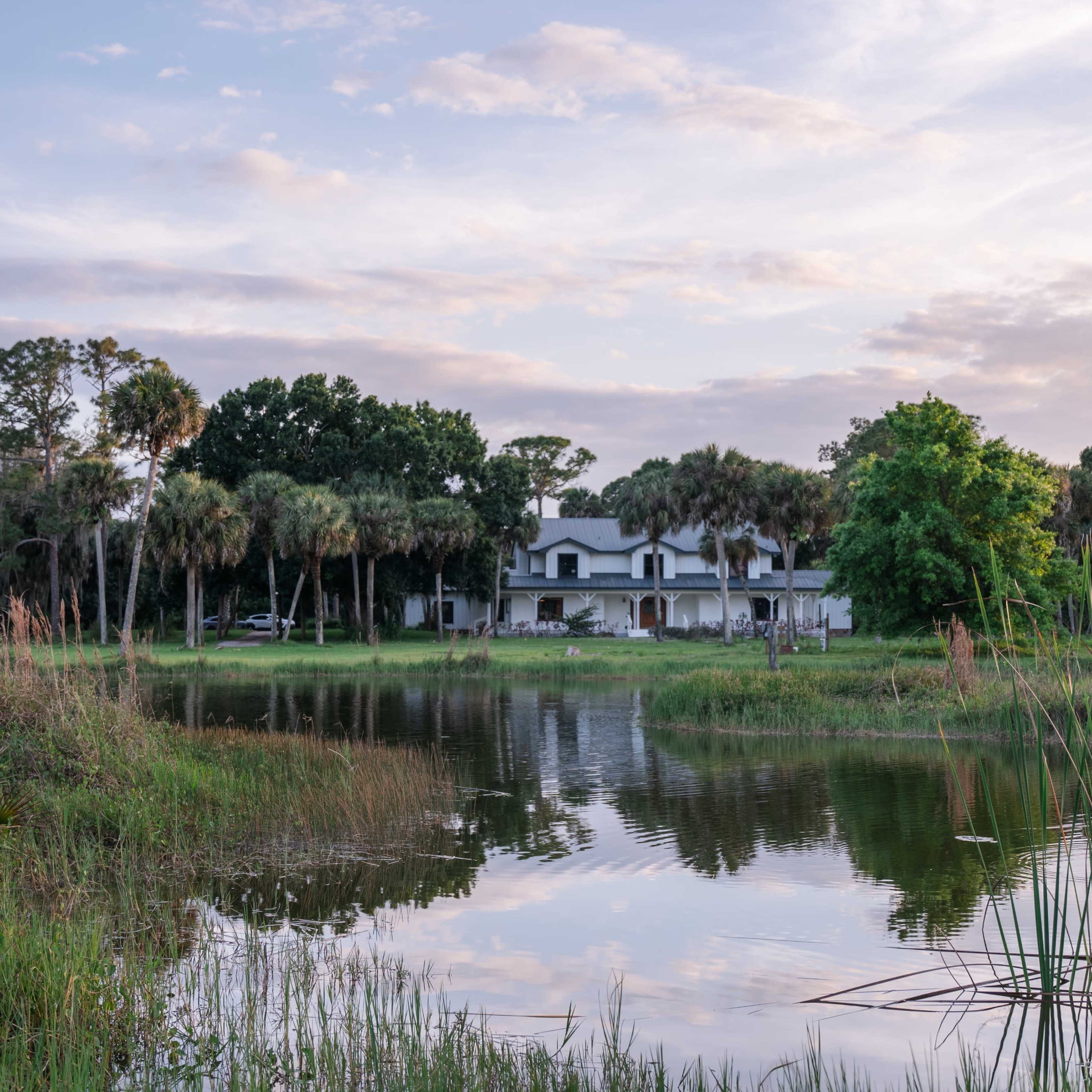 A large white house with a dark roof is situated near a calm pond, surrounded by tall grasses and palm trees.