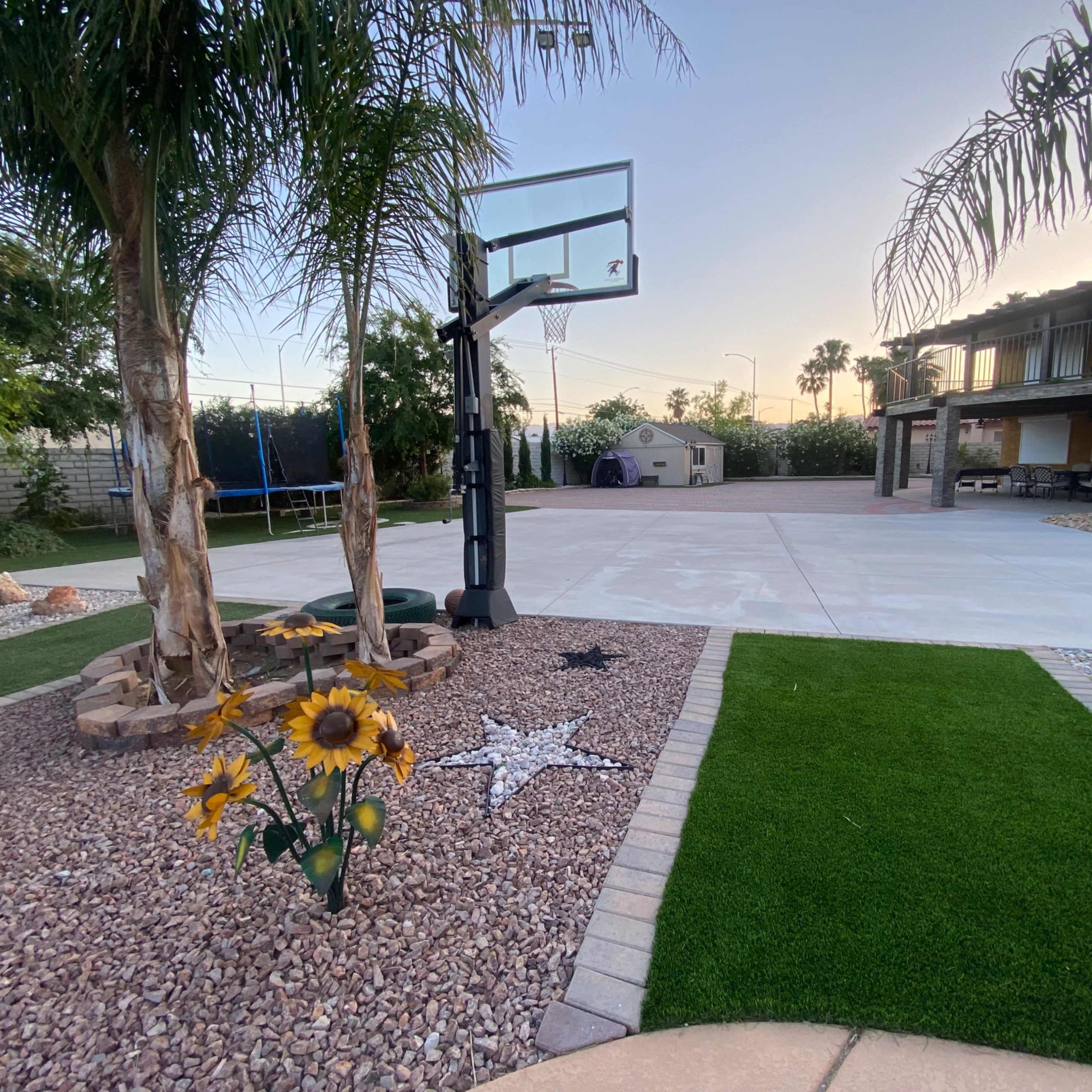 A backyard basketball court with a hoop, surrounded by landscaped areas featuring palm trees, decorative stones, and sunflowers.