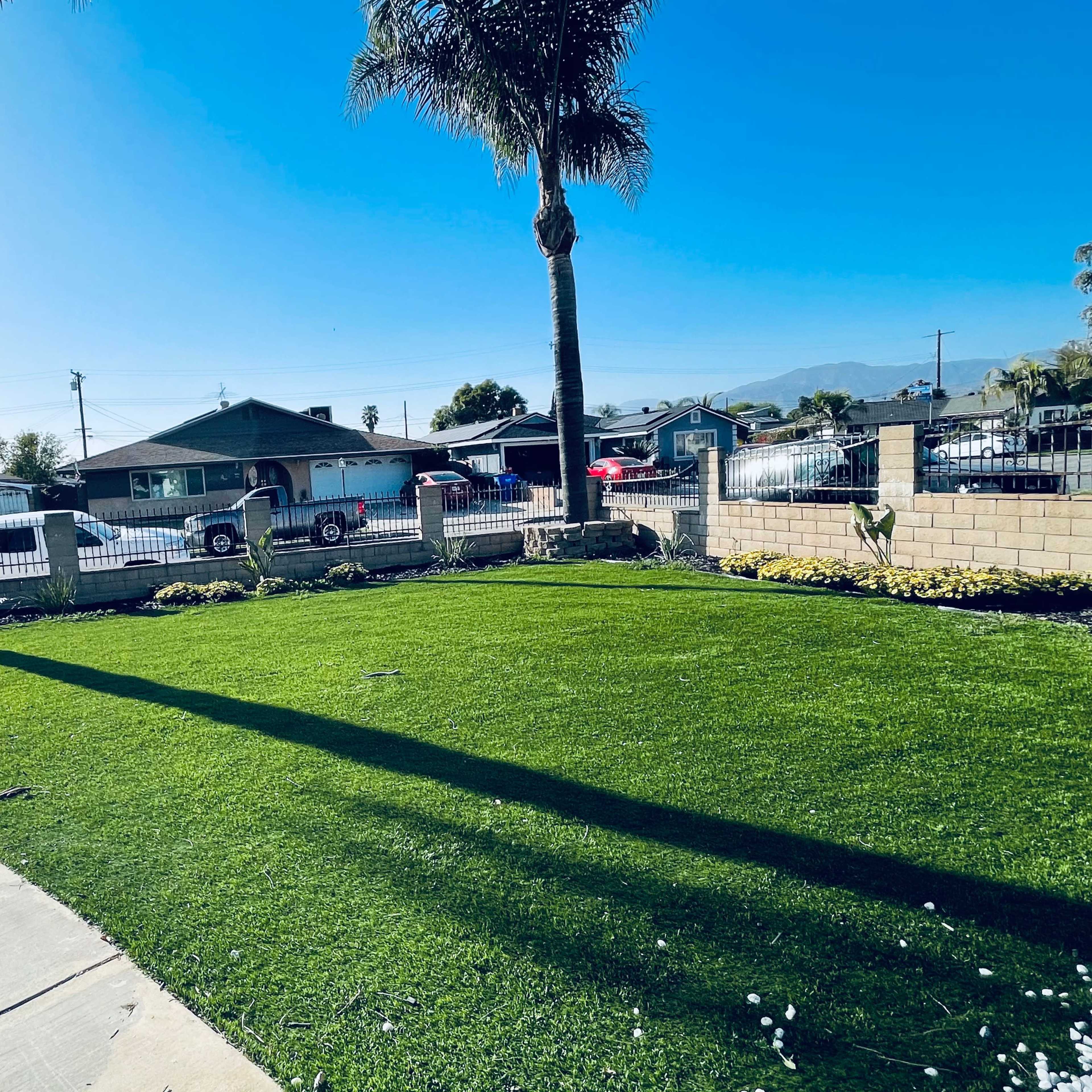 A well-maintained lawn with palm trees casting long shadows, bordered by a low stone wall and houses visible in the background.