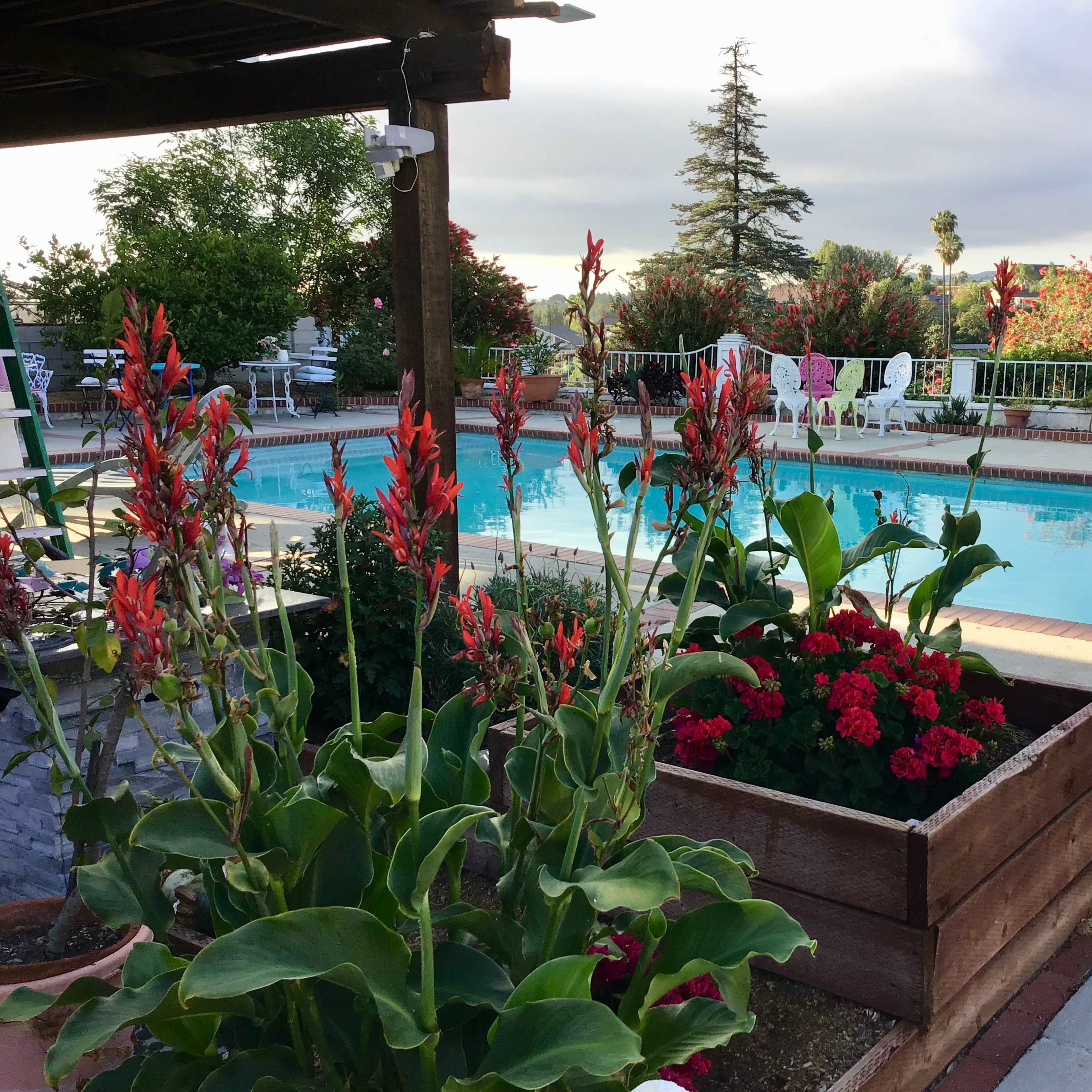 The scene shows a swimming pool surrounded by flower beds and lounge chairs under a cloudy sky.