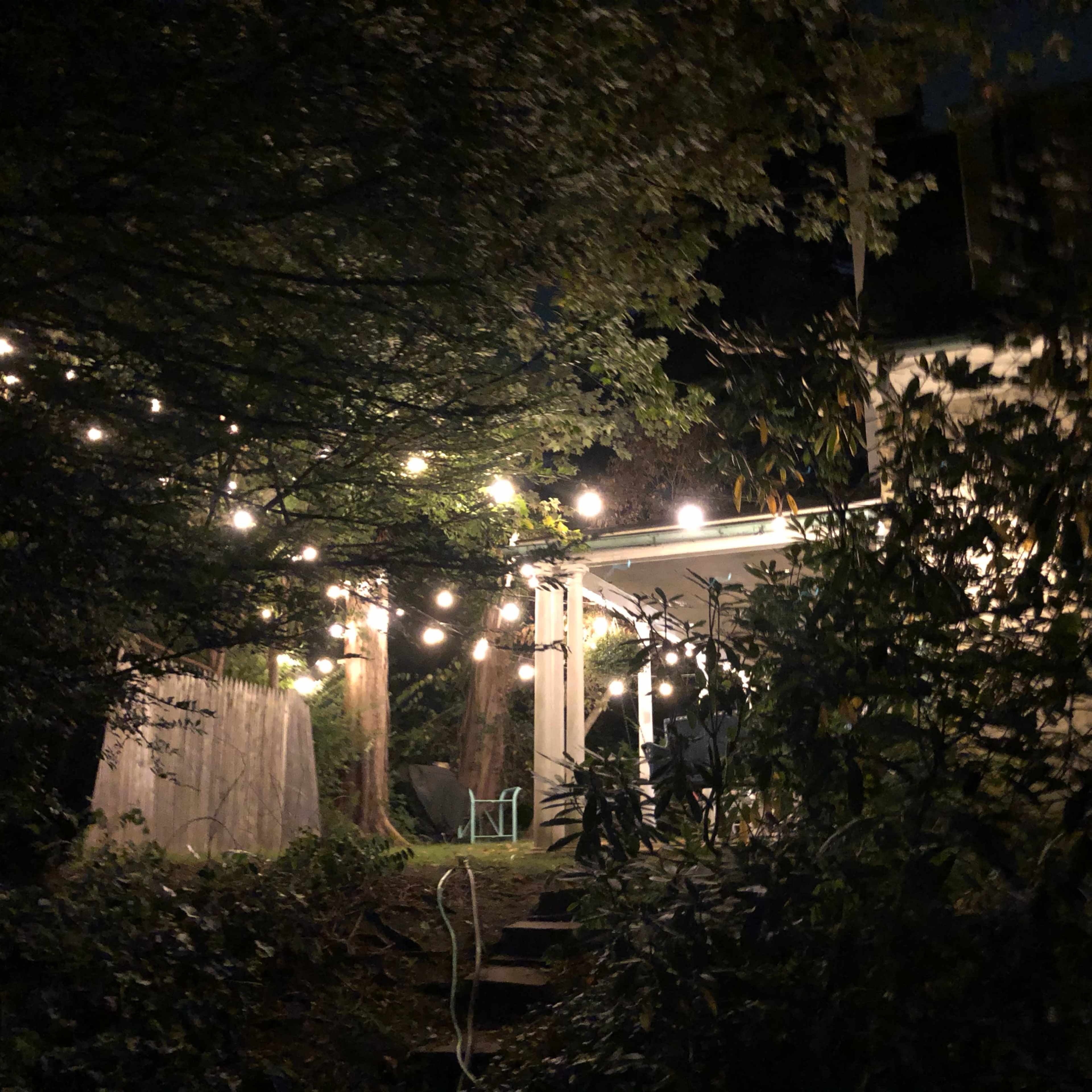 A patio with string lights is partially visible through trees at night.