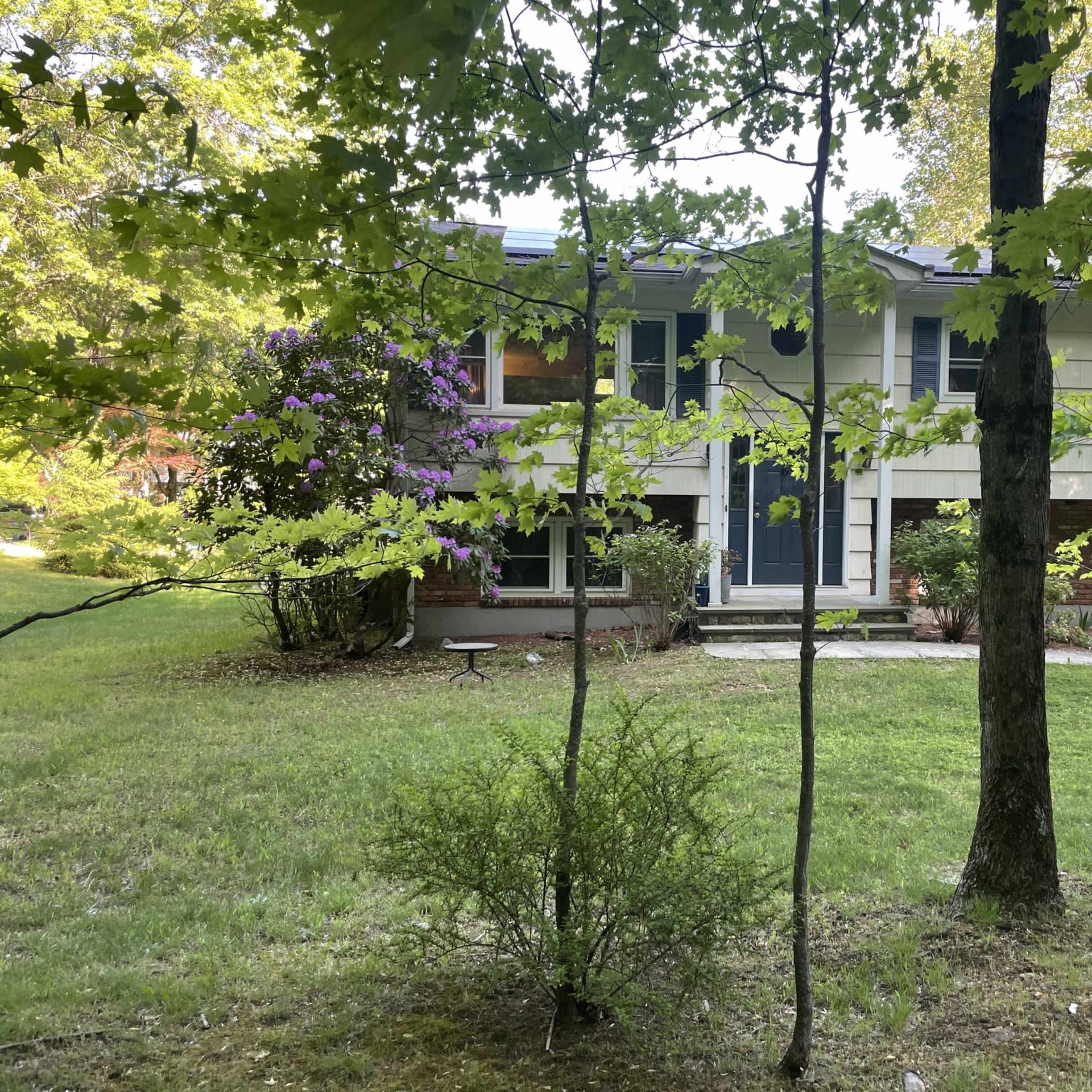 A two-story house is partially obscured by trees and surrounded by greenery, with blooming flowers near the entrance.
