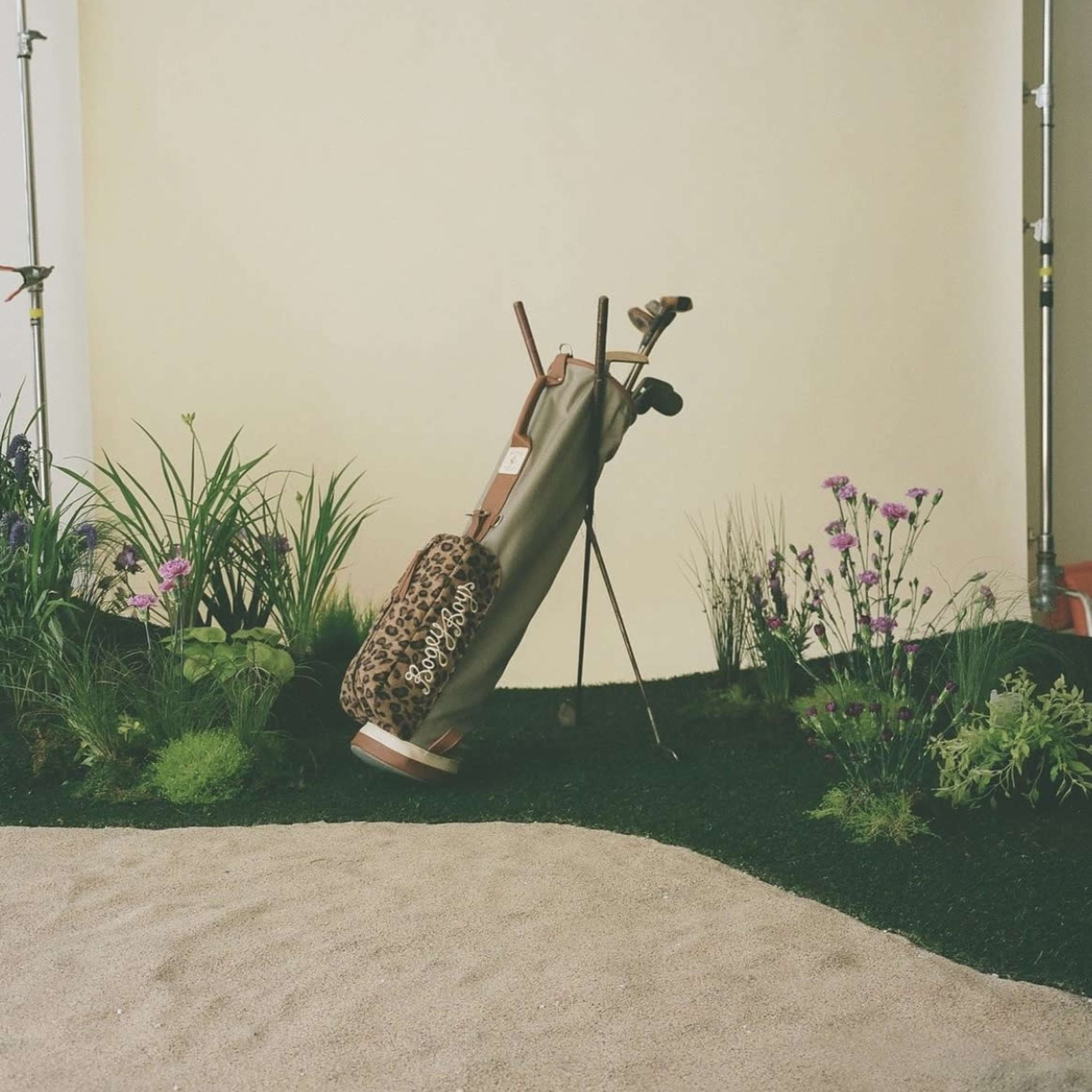 A golf bag stands against a plain backdrop surrounded by various plants and flowers.