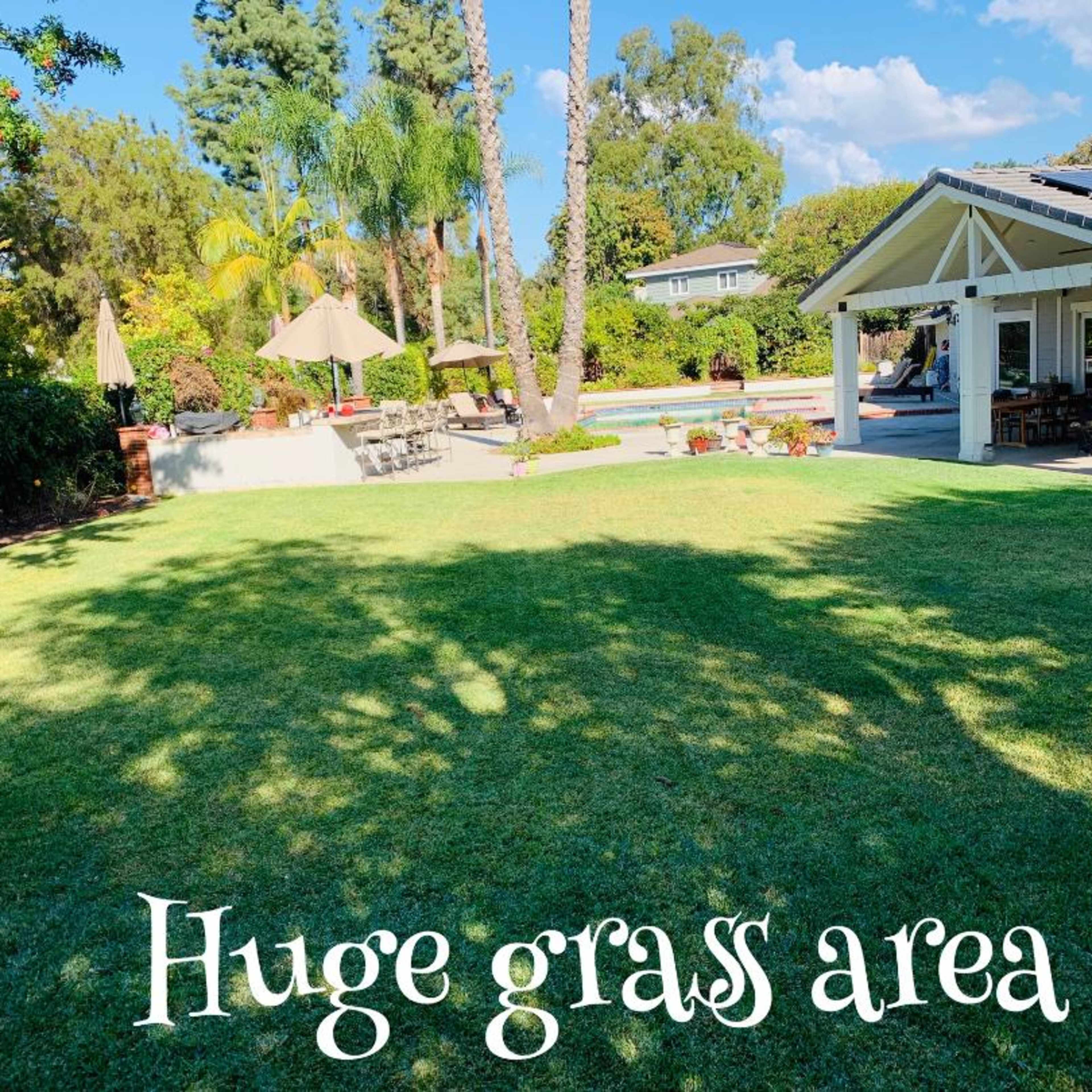 A large grassy area in a backyard with a swimming pool, patio furniture, and palm trees in the background.